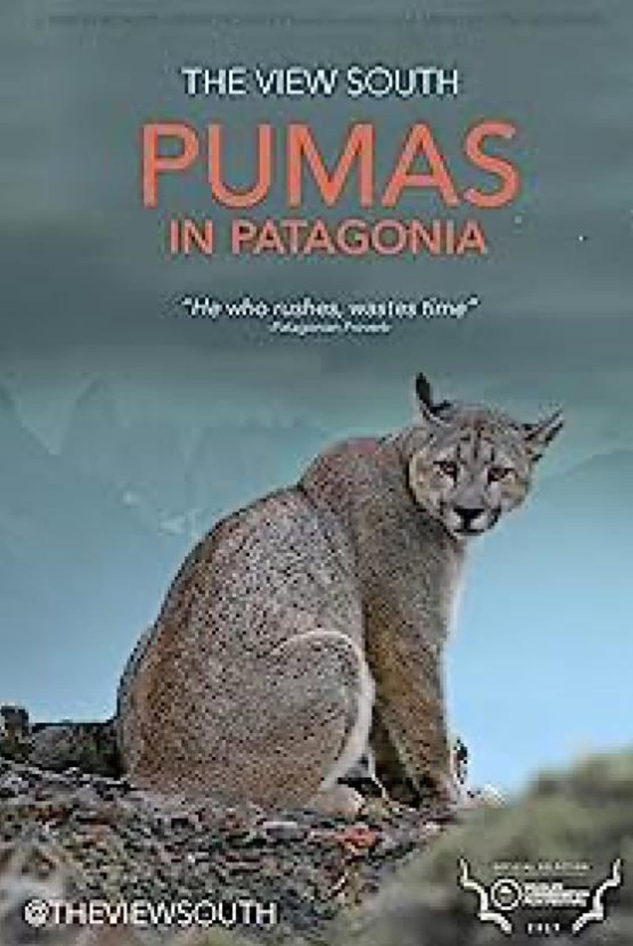 Pumas in Patagonia preview 1
