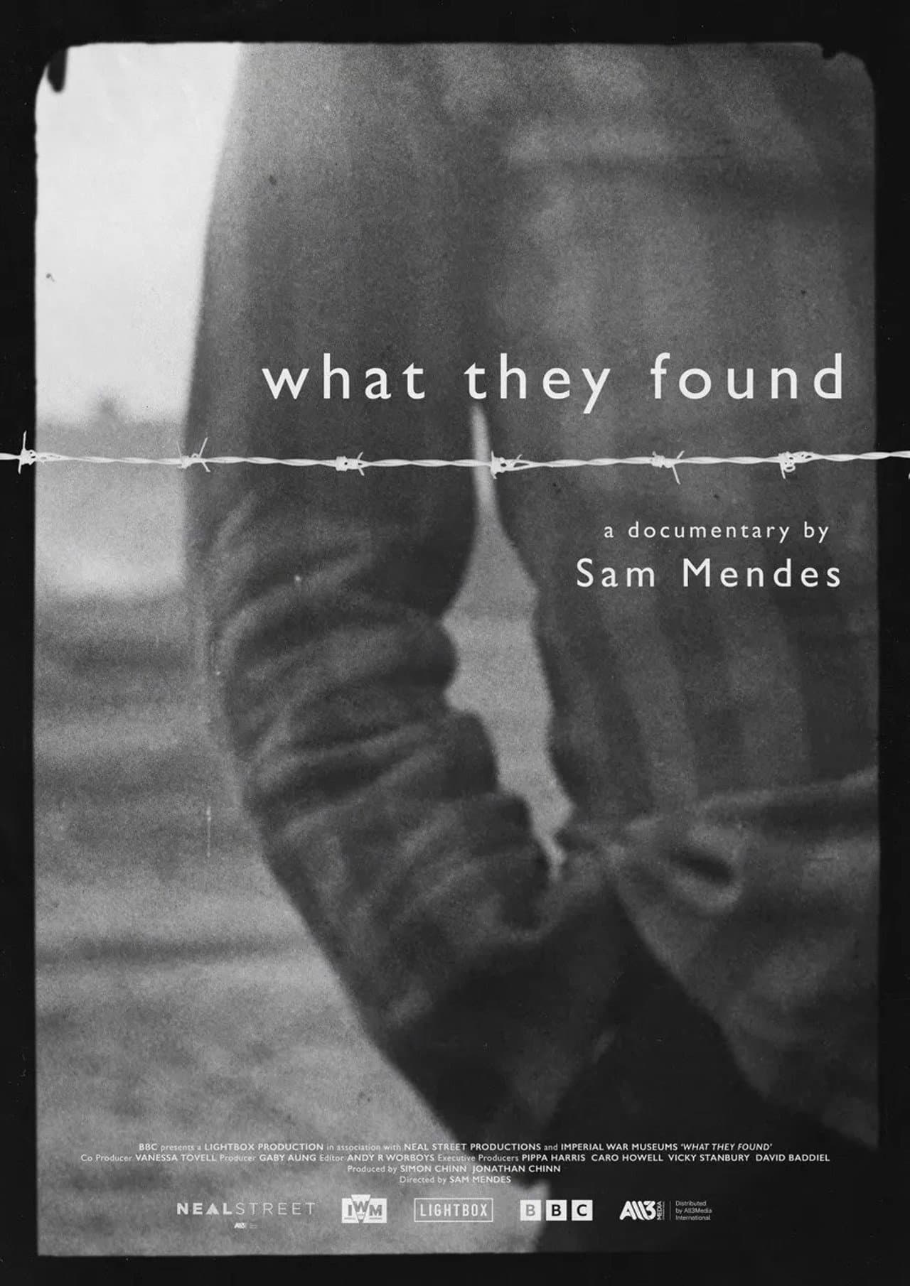 What They Found preview 2