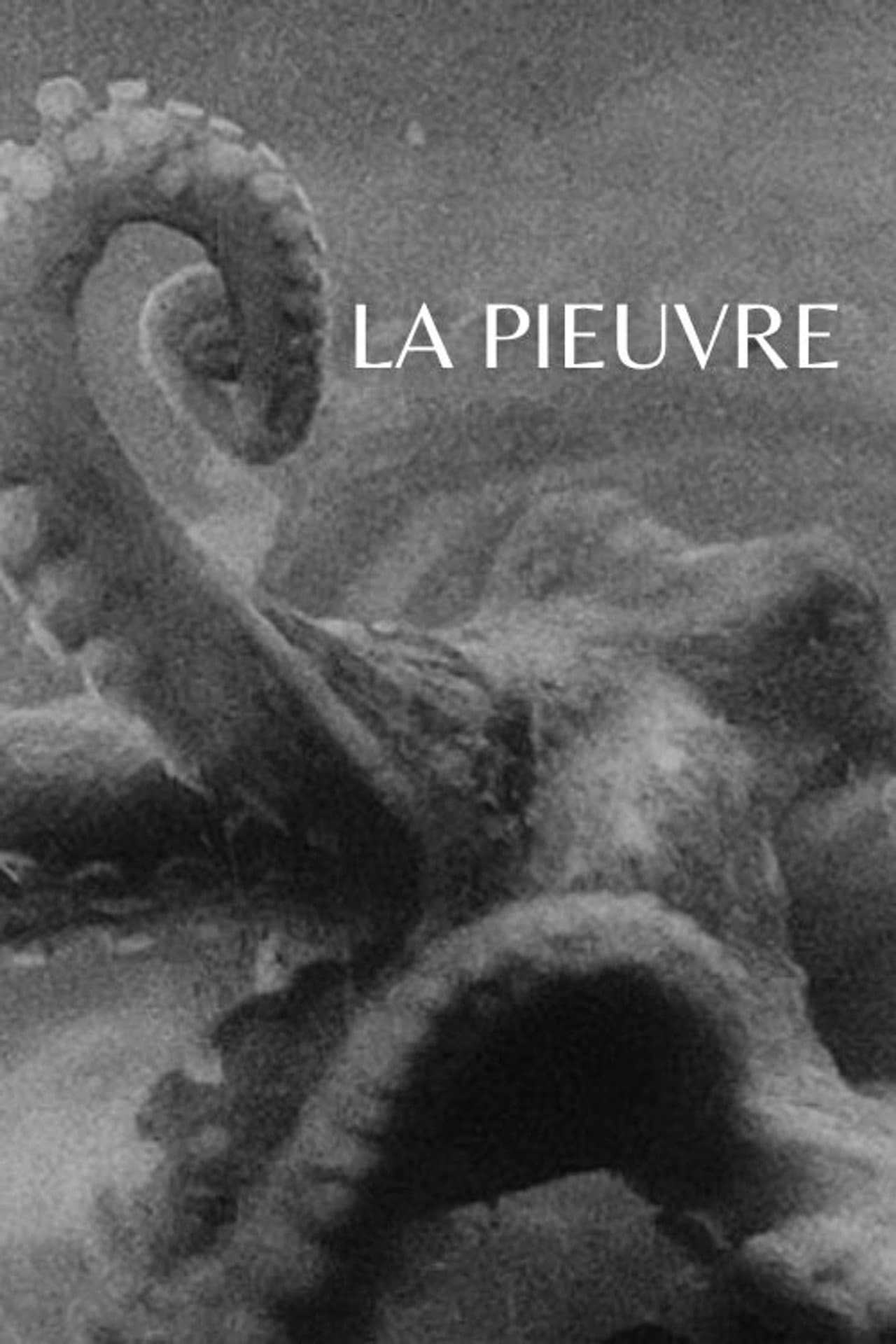 The Octopus preview 2