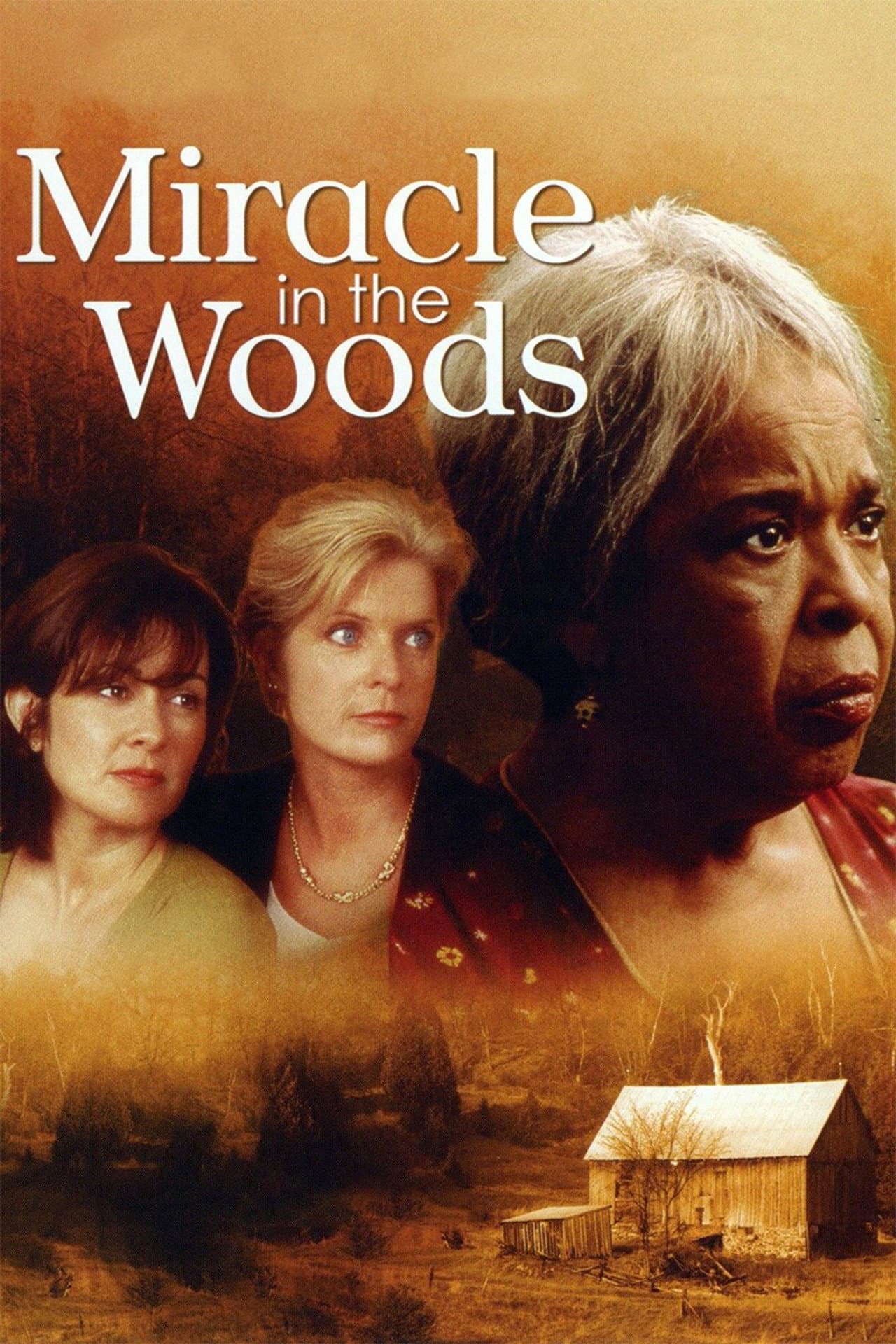 Miracle in the Woods preview 1