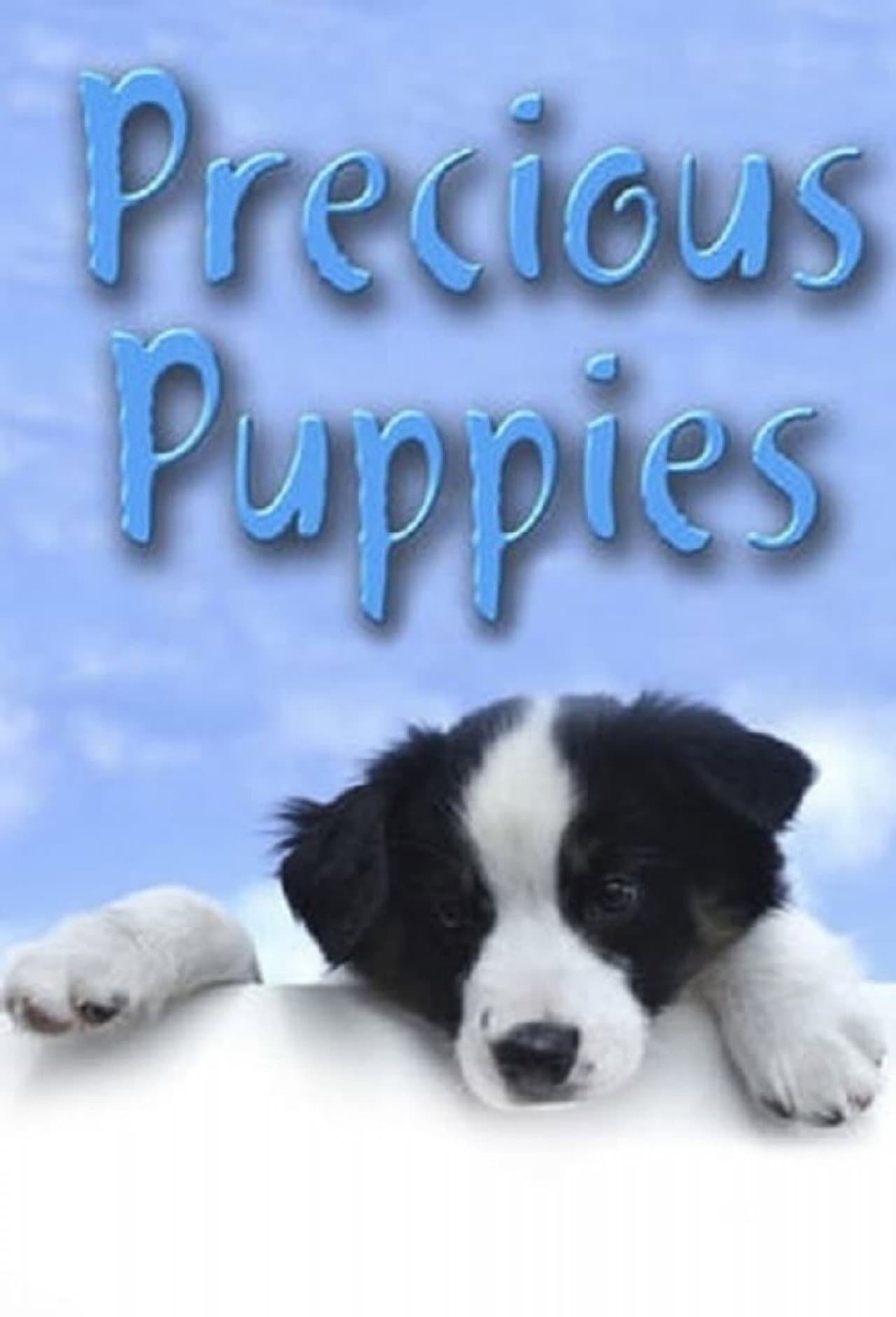 Precious Puppies preview 1