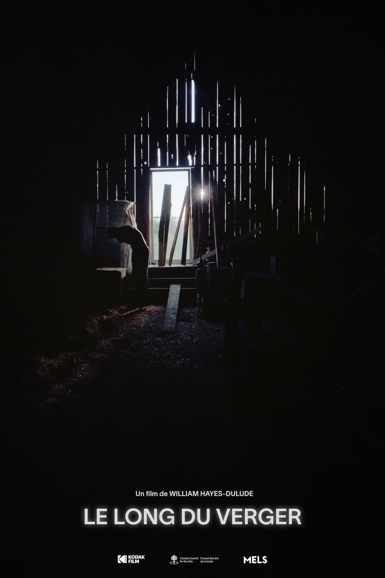 Down the orchard preview 2