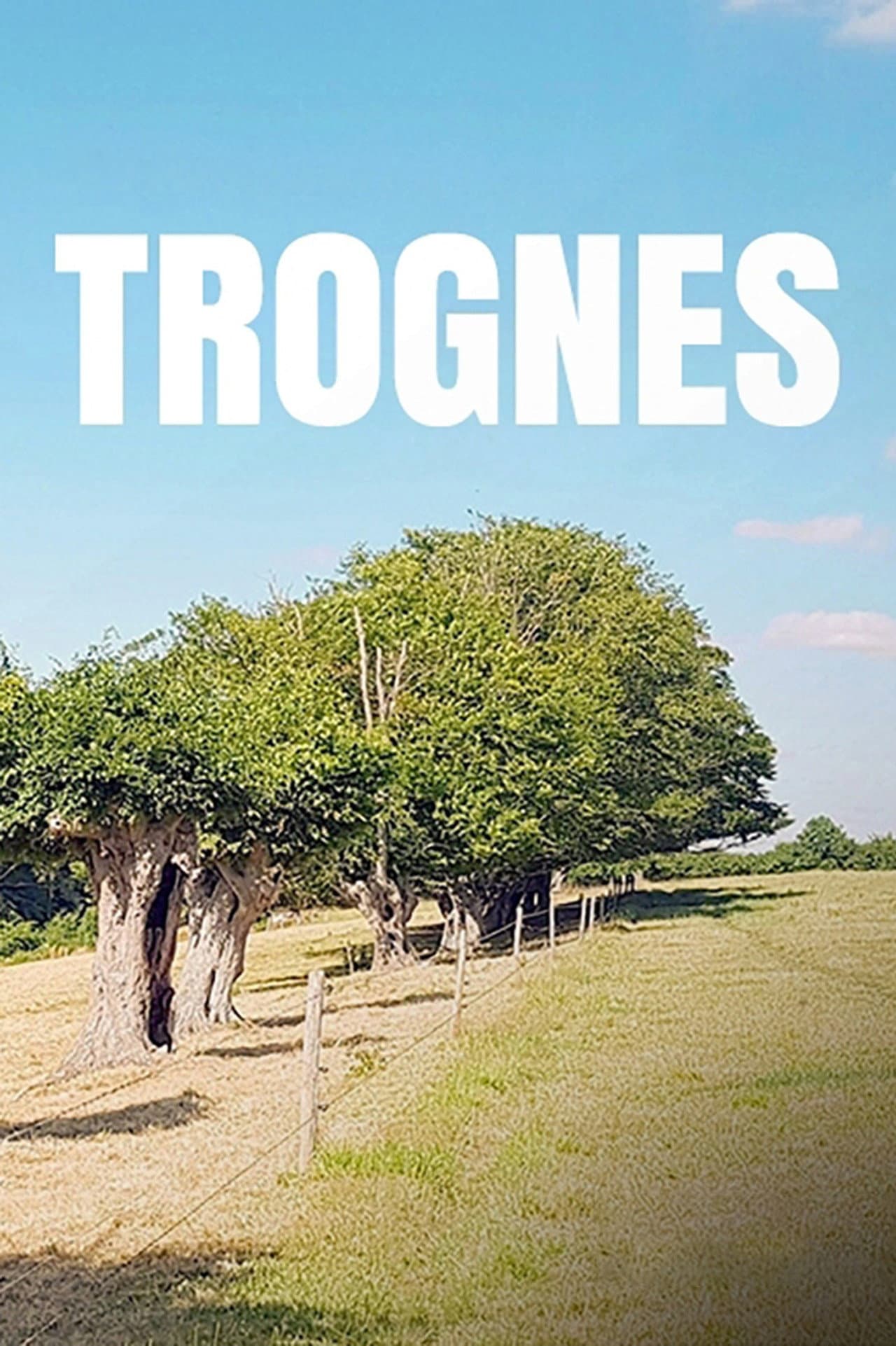 Trognes, les arbres aux mille visages preview 2