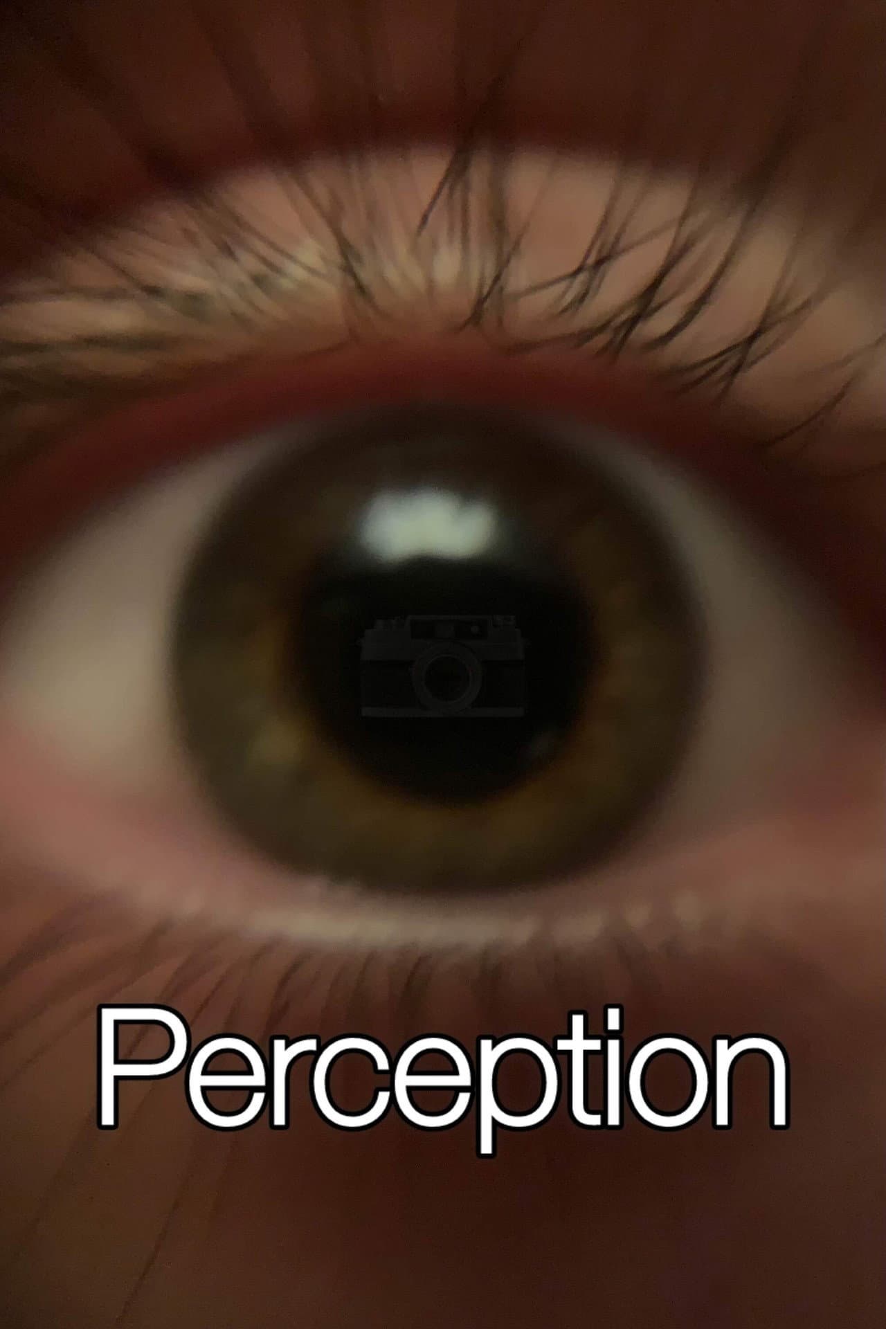 Perception preview 1