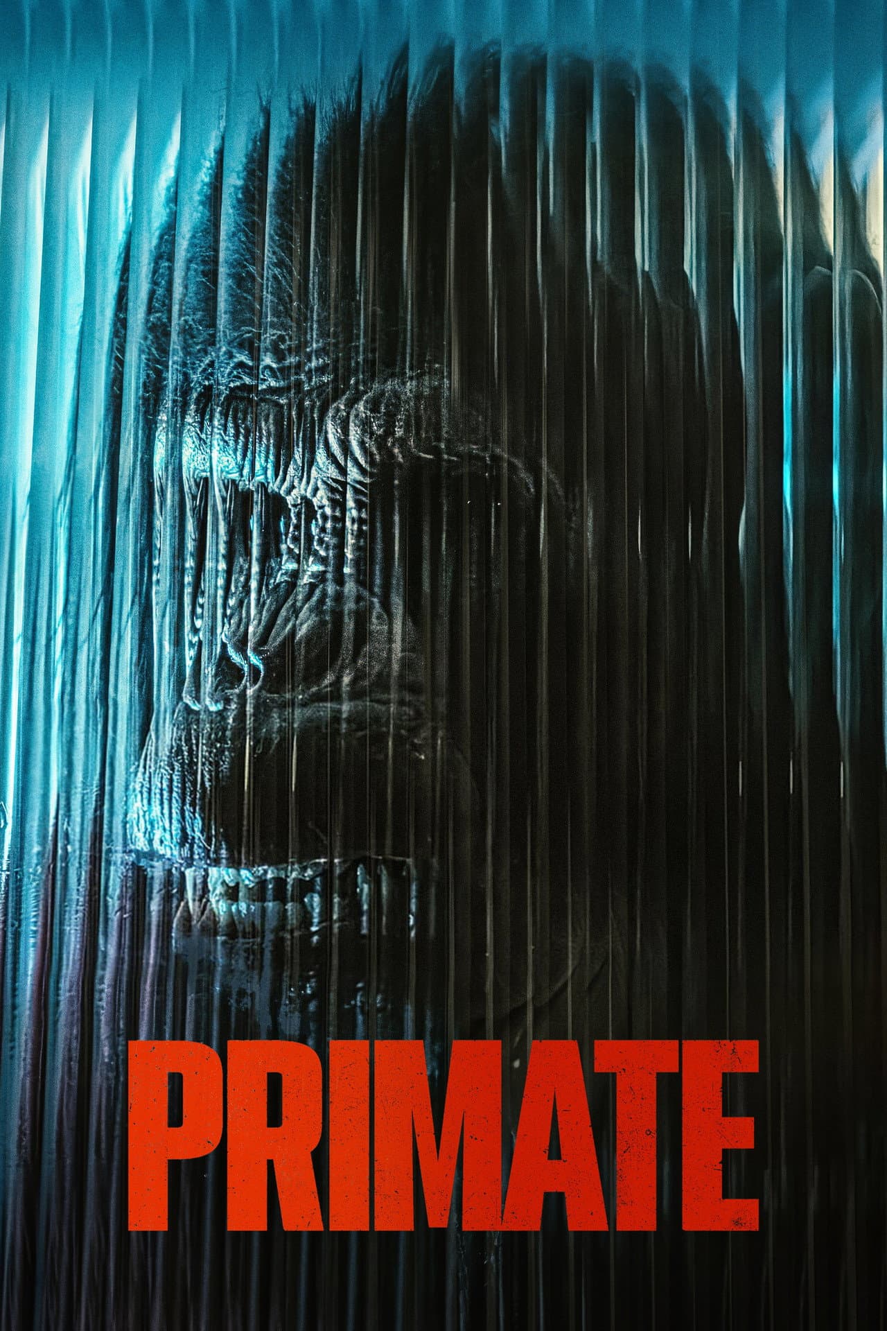Primate preview 2