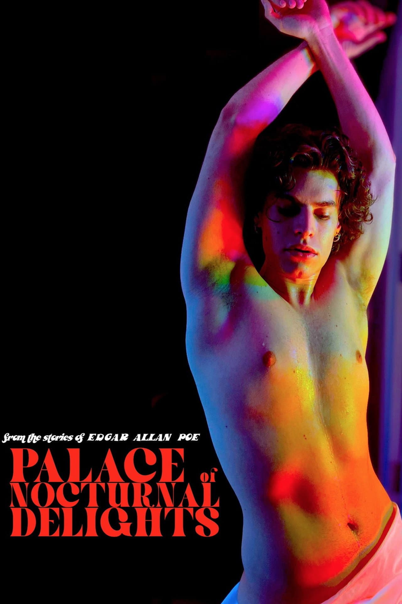 Palace of Nocturnal Delights preview 2