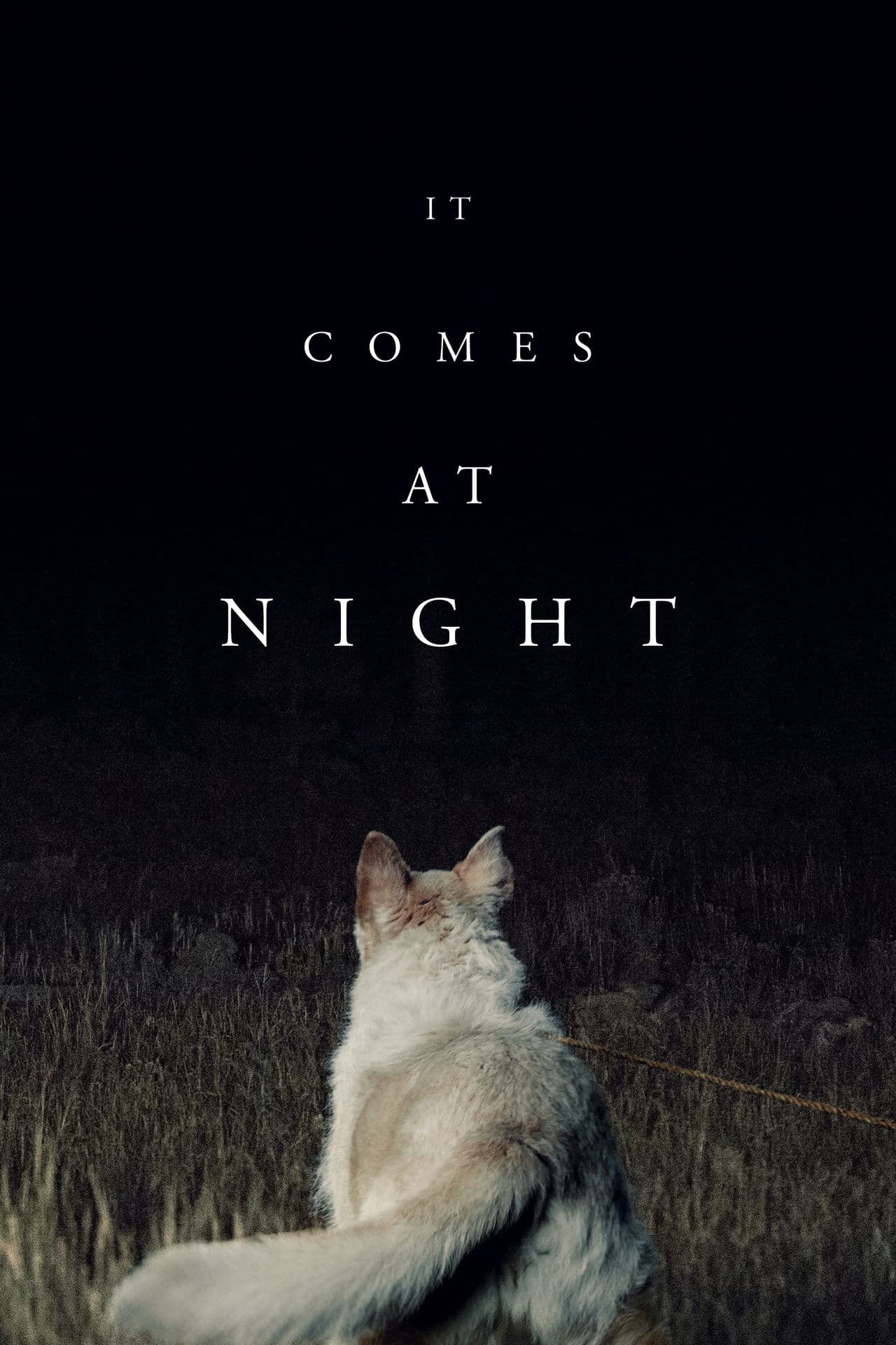 It Comes at Night preview 2