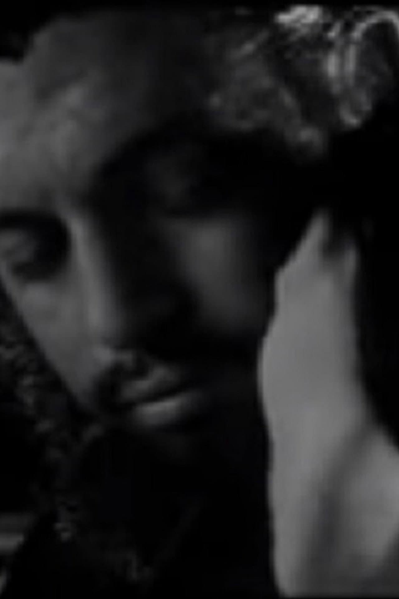 Meeting Che Guevara & the Man from Maybury Hill preview 1