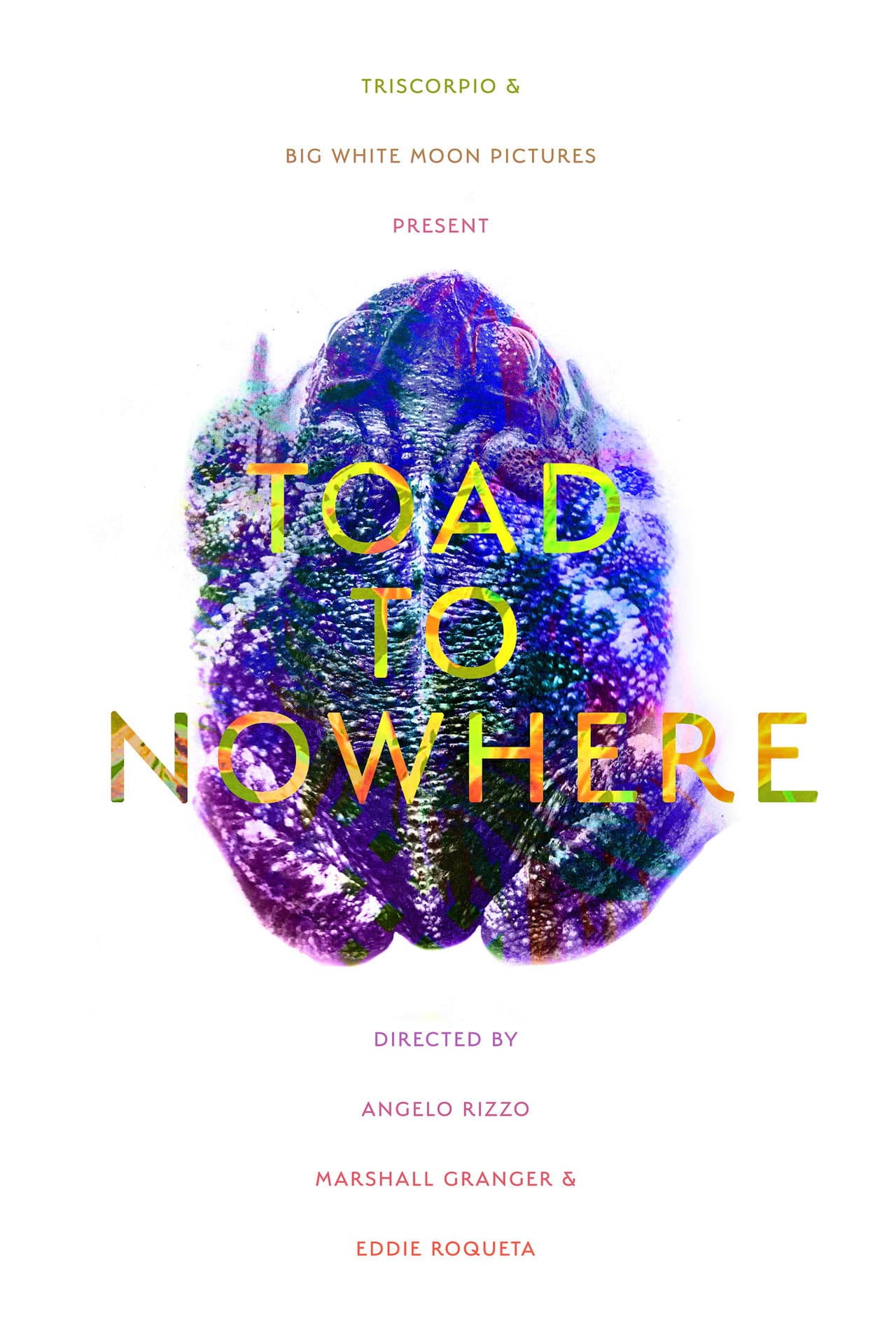 Toad to Nowhere preview 2