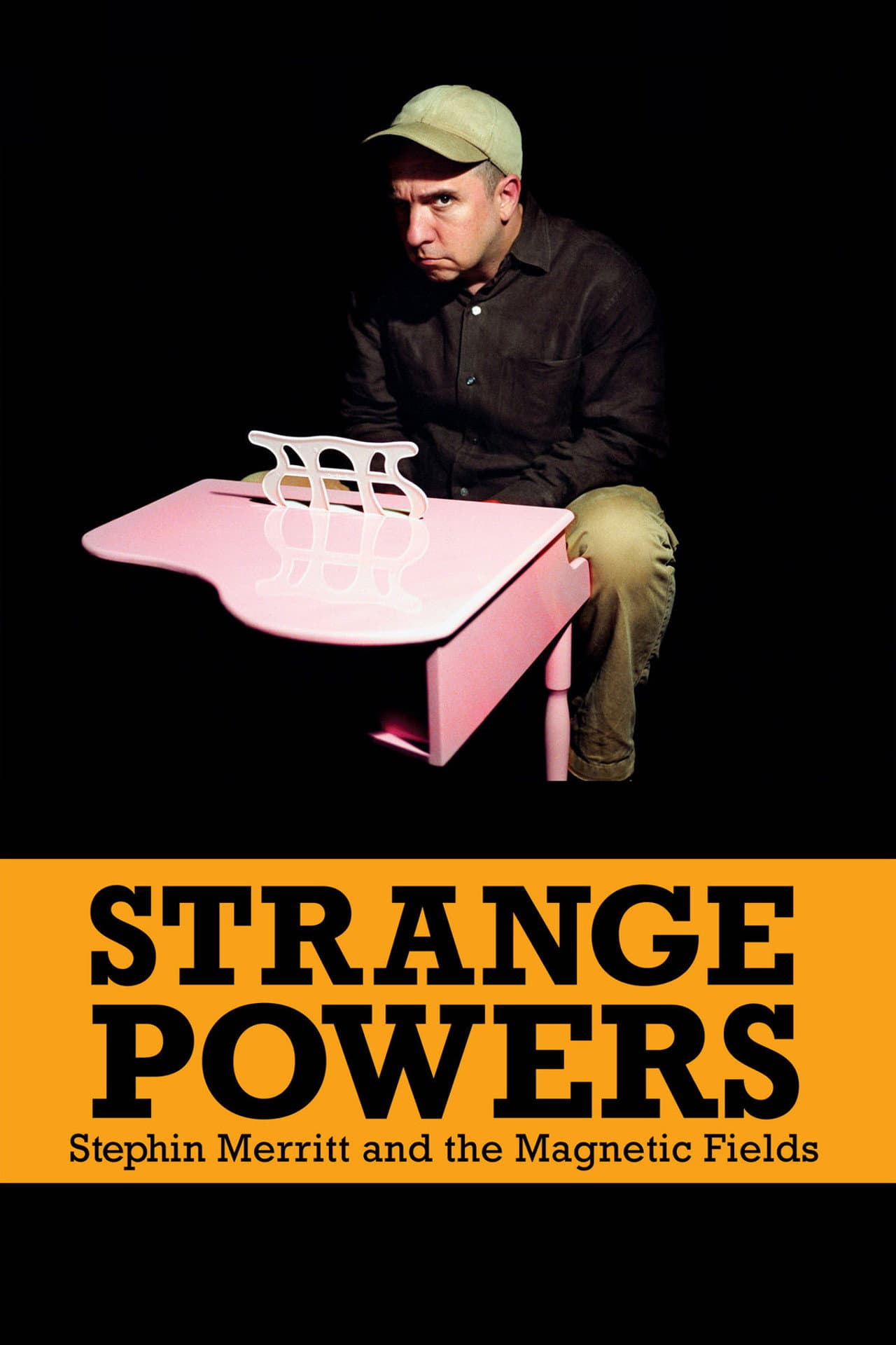 Strange Powers: Stephin Merritt and the Magnetic Fields preview 2
