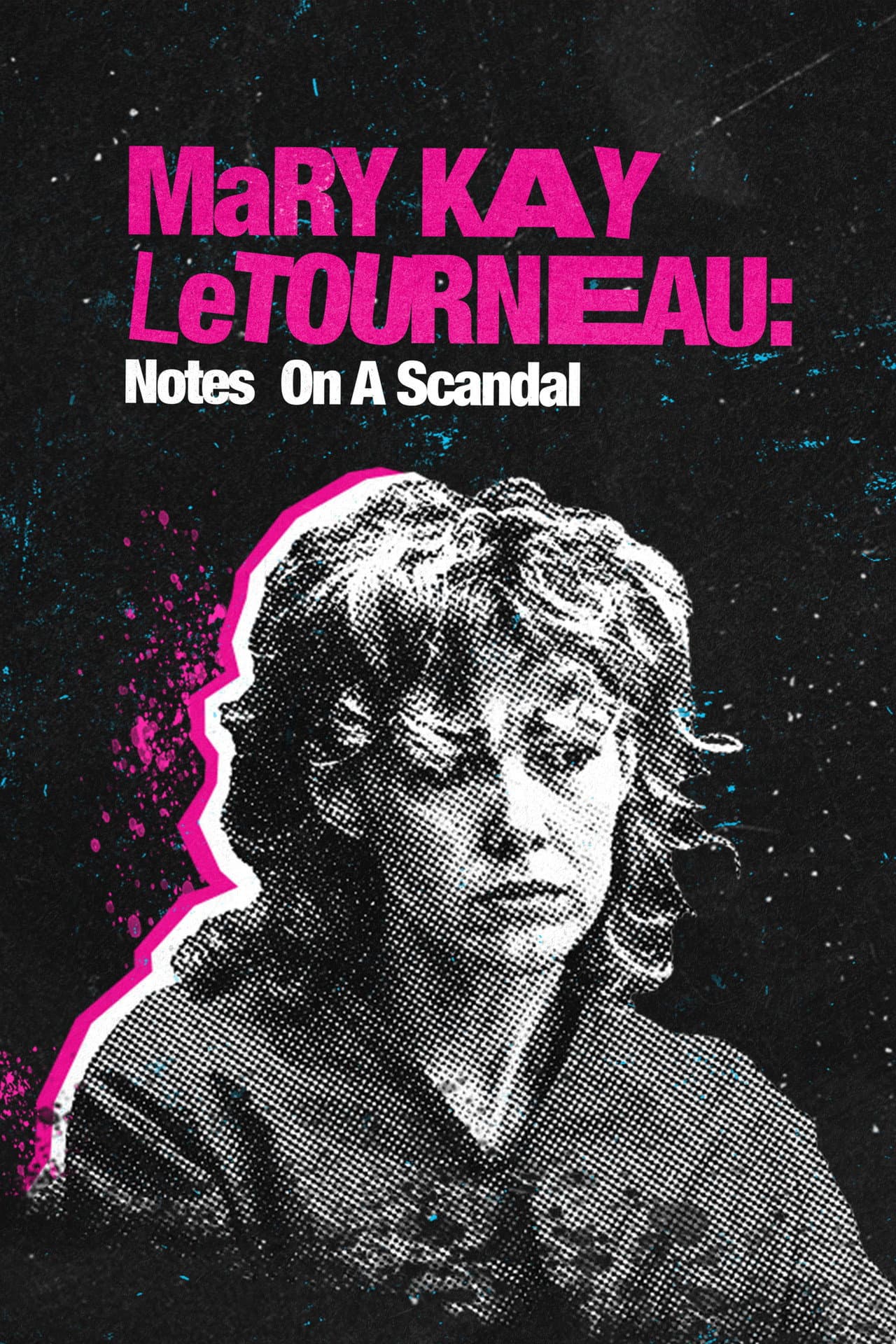 Mary Kay Letourneau: Notes on a Scandal preview 2
