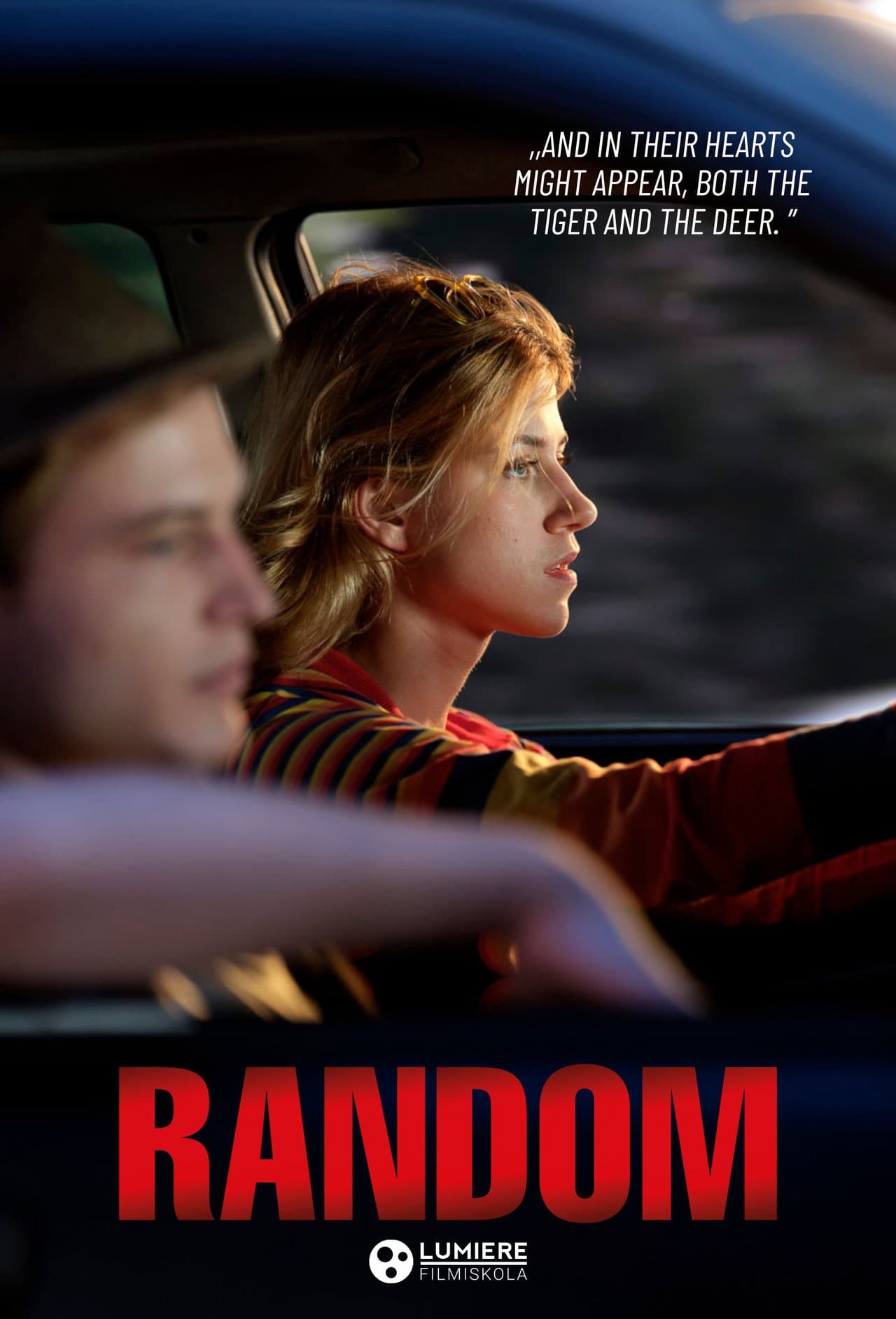 Random preview 2