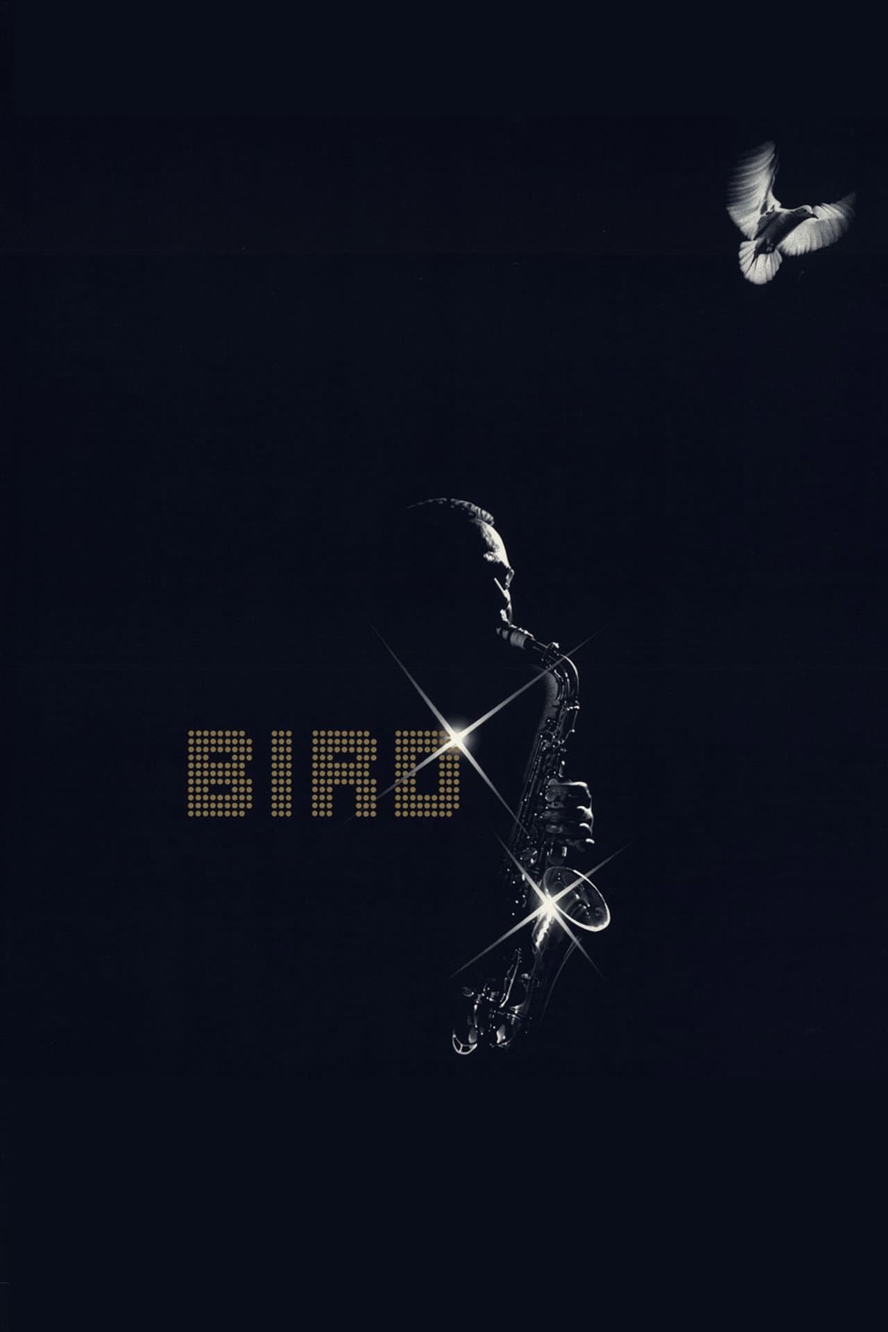 Bird preview 2