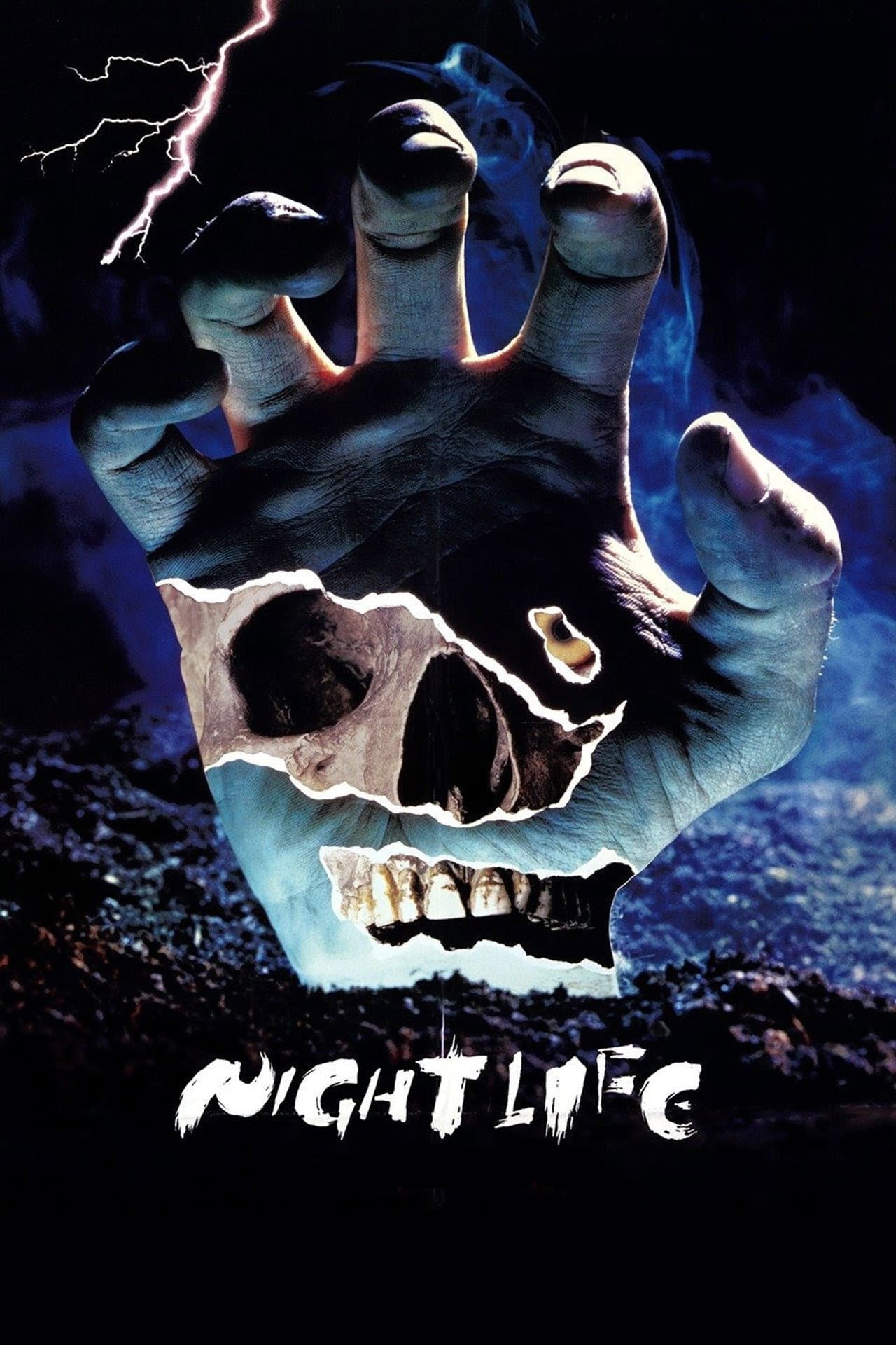 Night Life preview 2