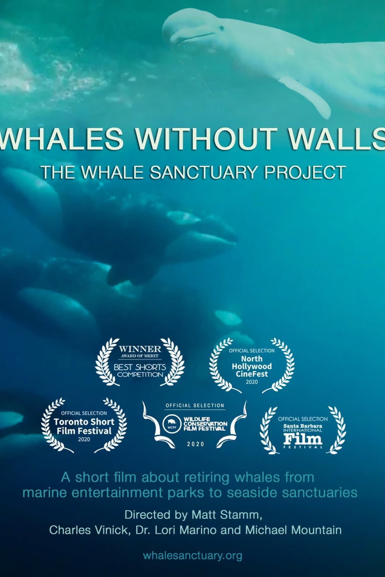 Whales Without Walls preview 1