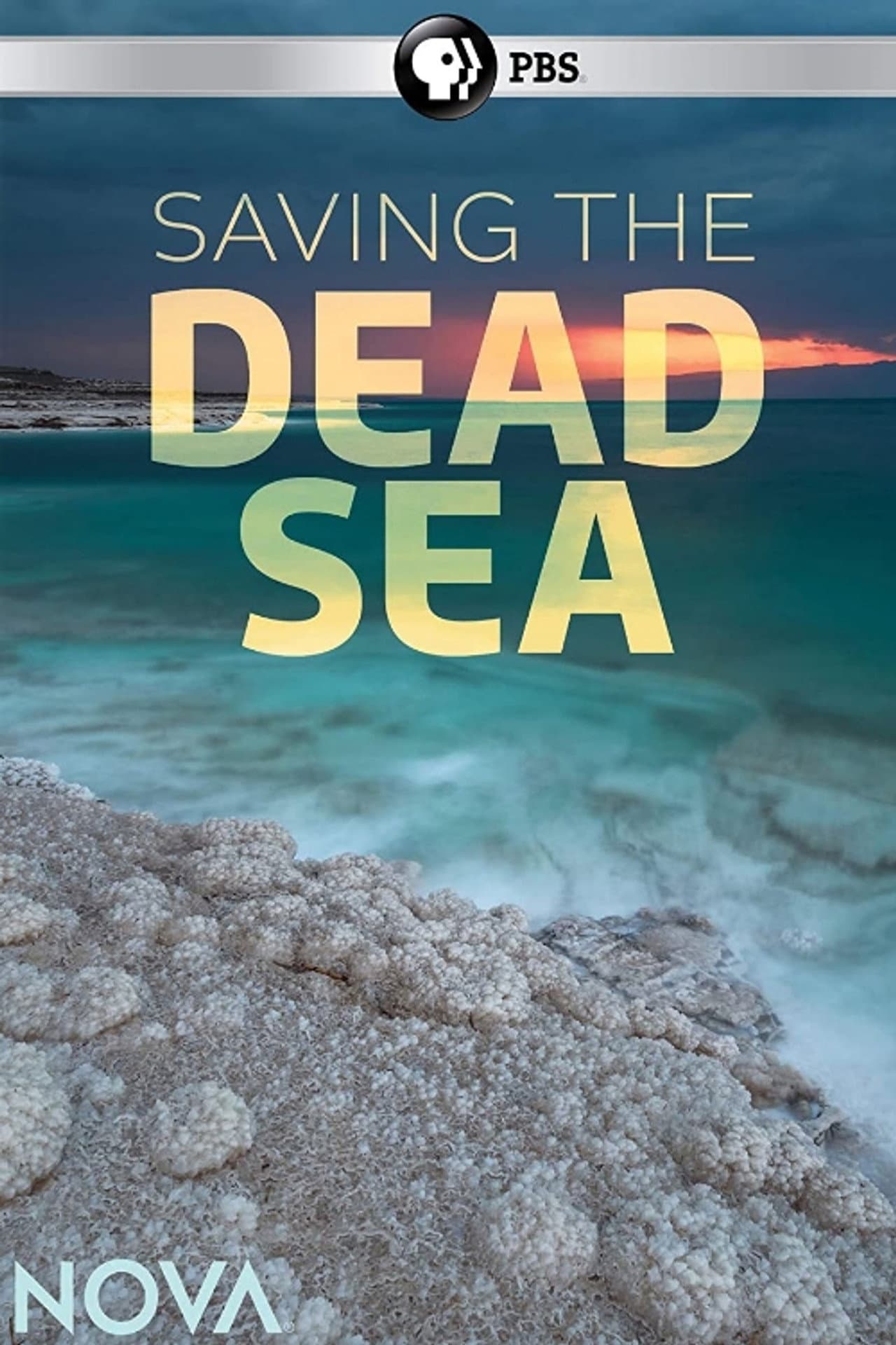 Saving the Dead Sea preview 1