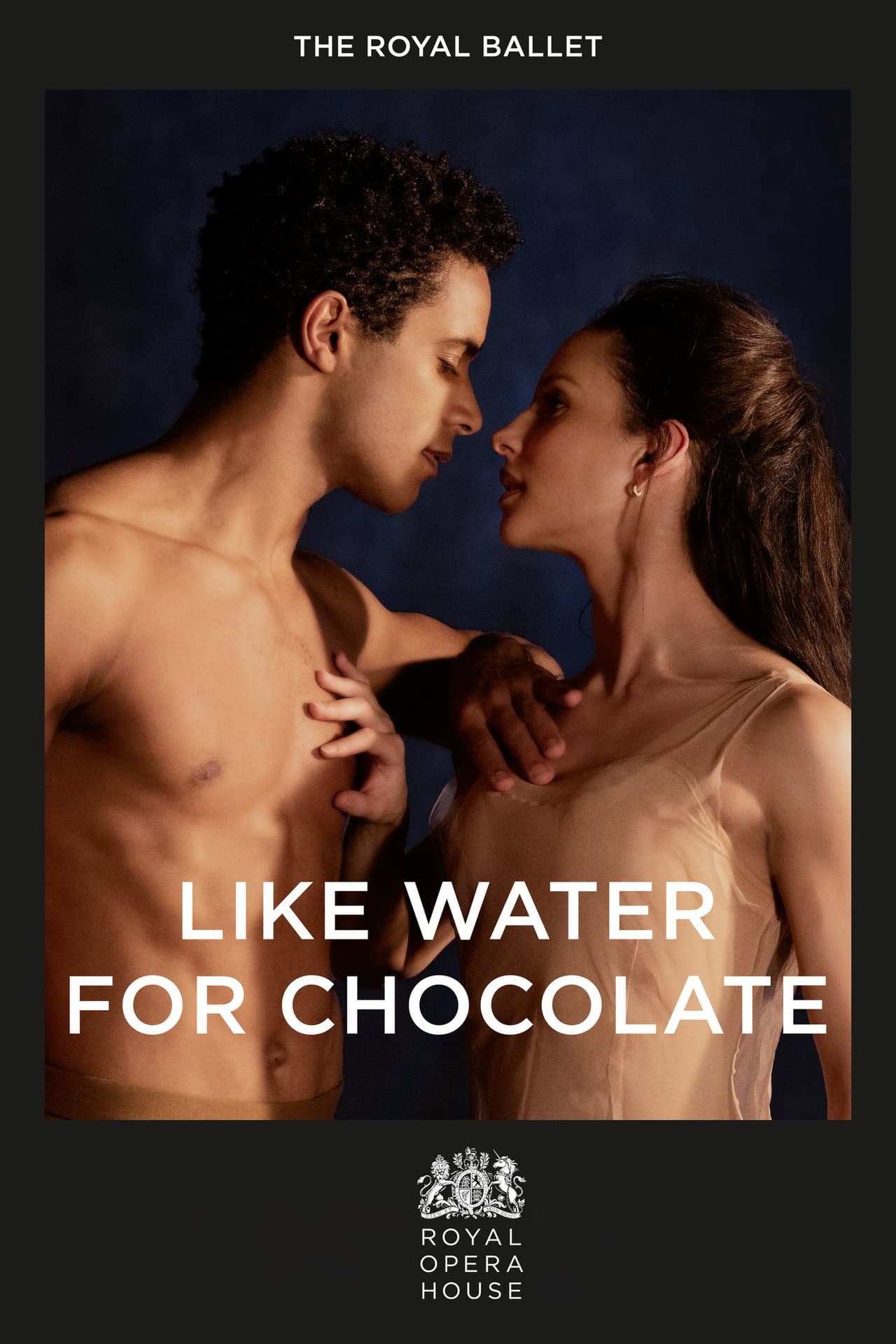 Like Water for Chocolate preview 2