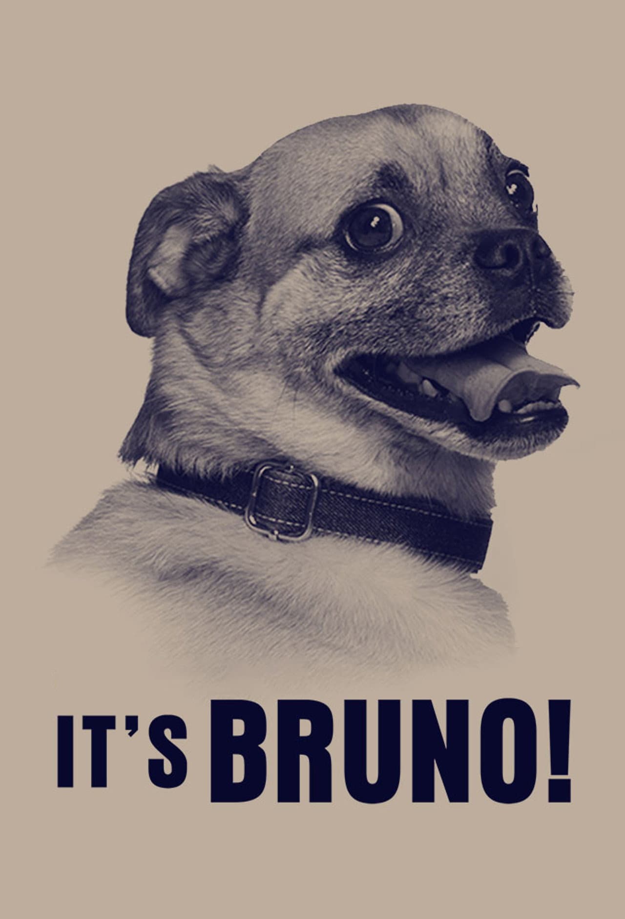 It's Bruno! preview 2