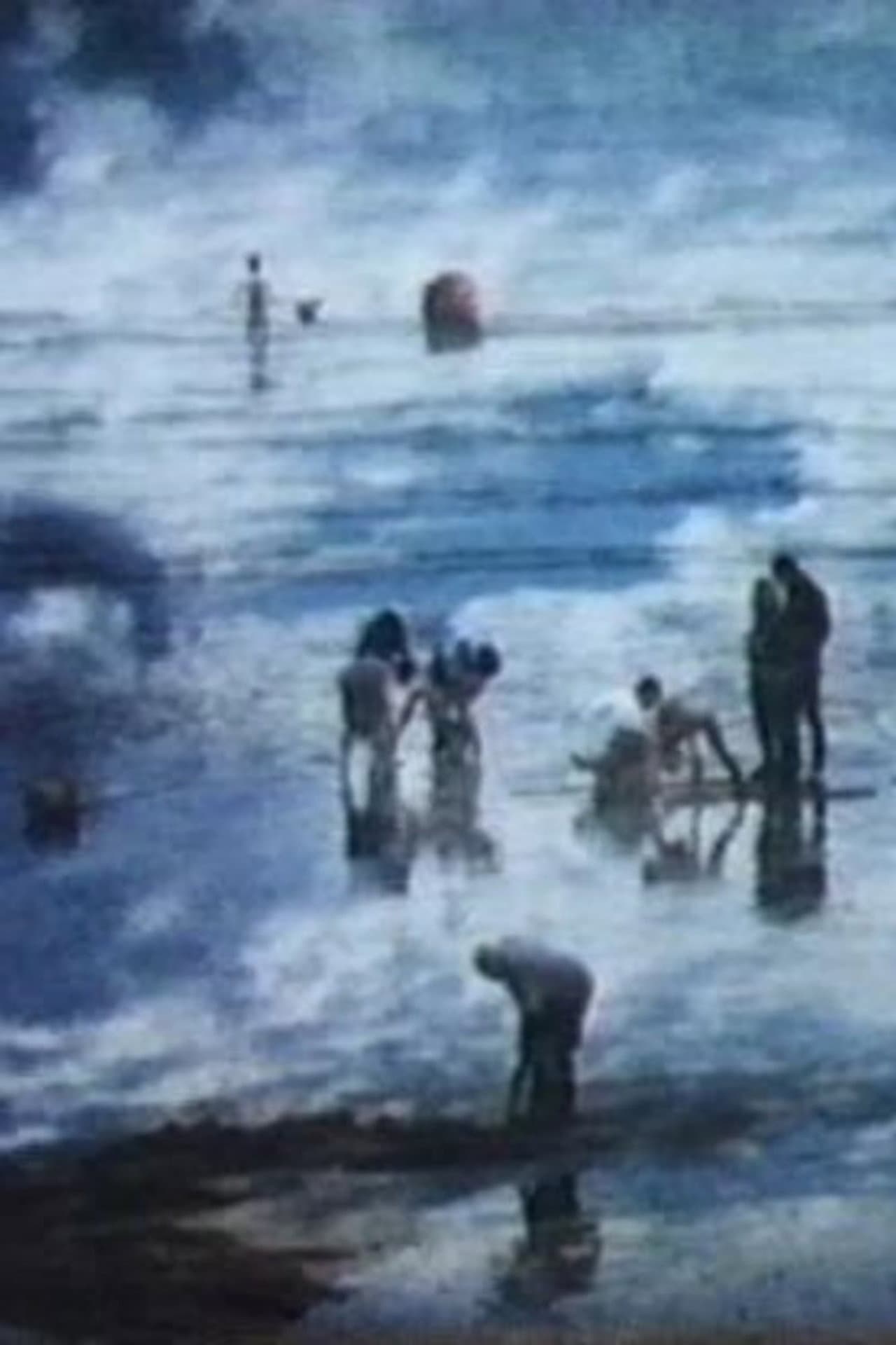 The Beach preview 2
