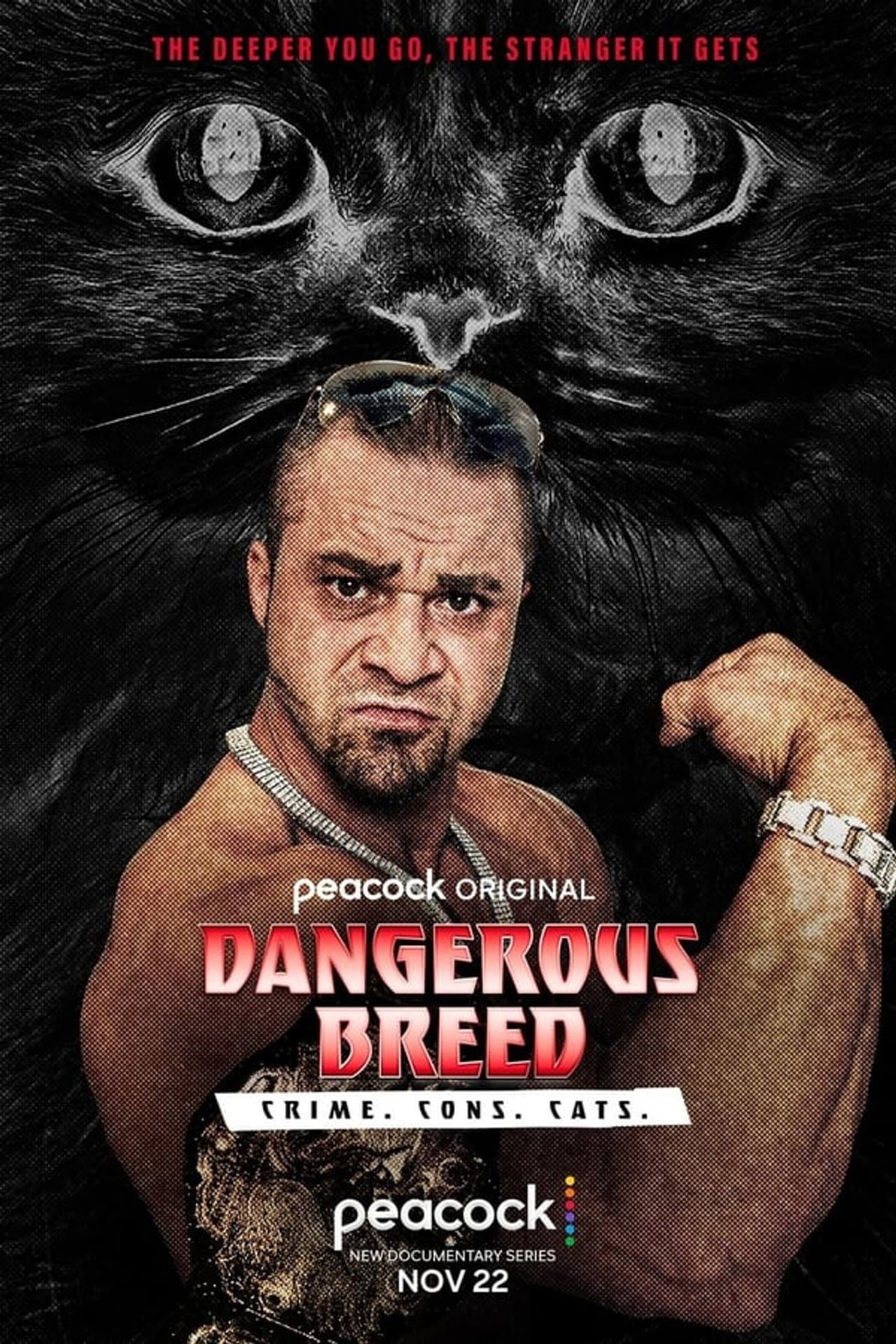 Dangerous Breed: Crime. Cons. Cats. preview 1