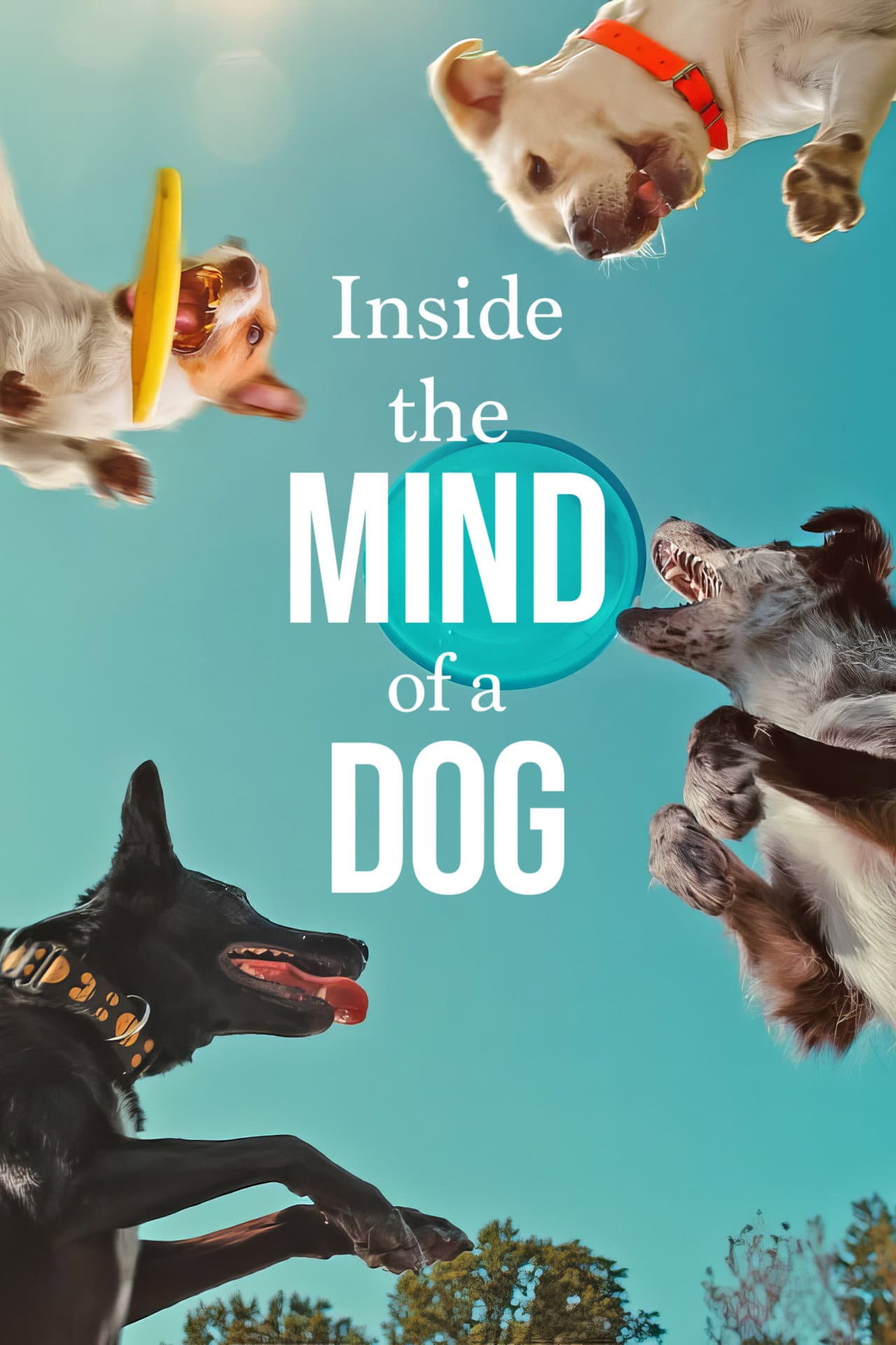 Inside the Mind of a Dog preview 2