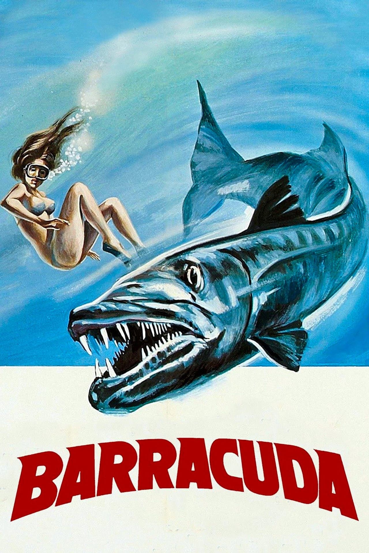 Barracuda preview 2