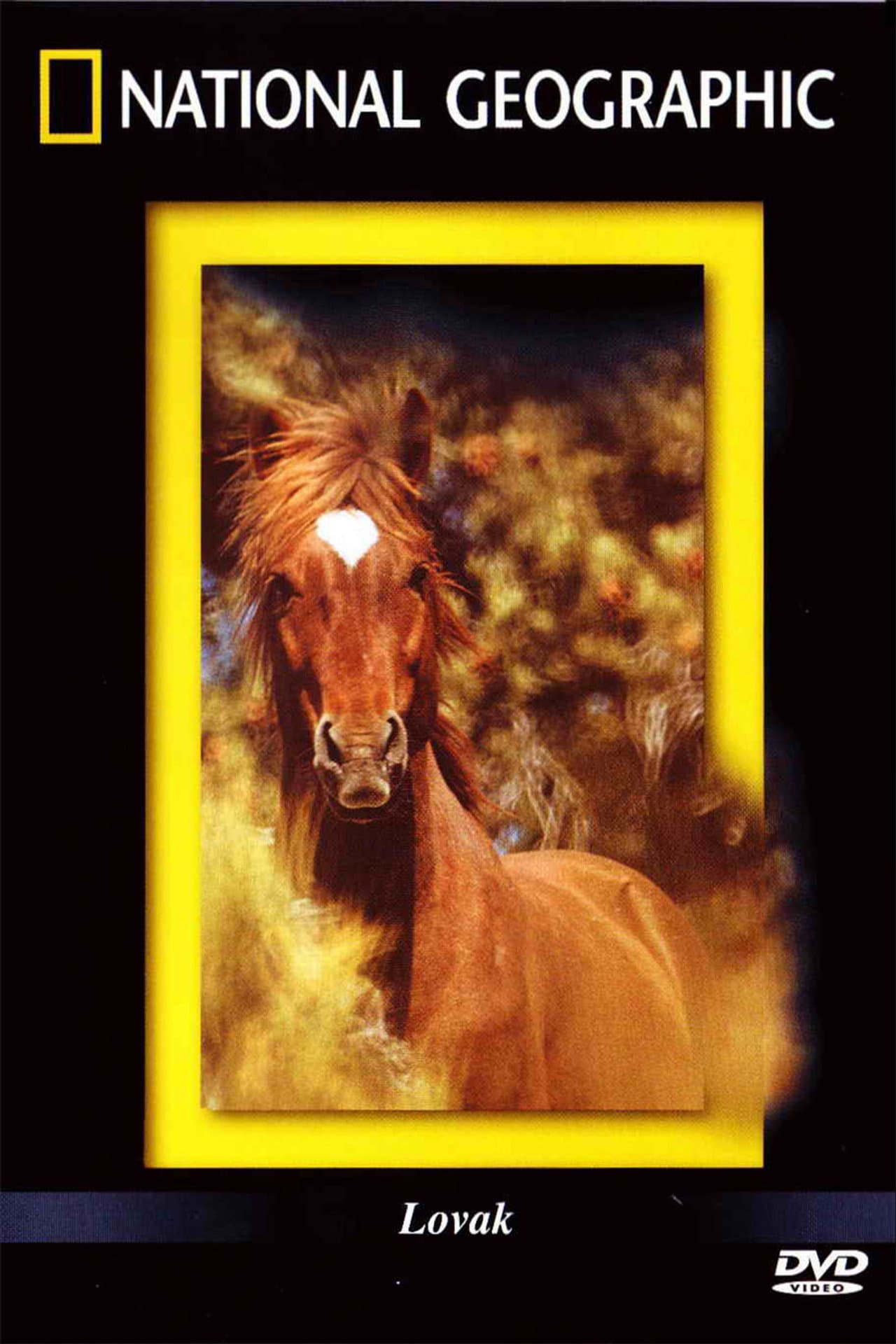 The Noble Horse preview 1