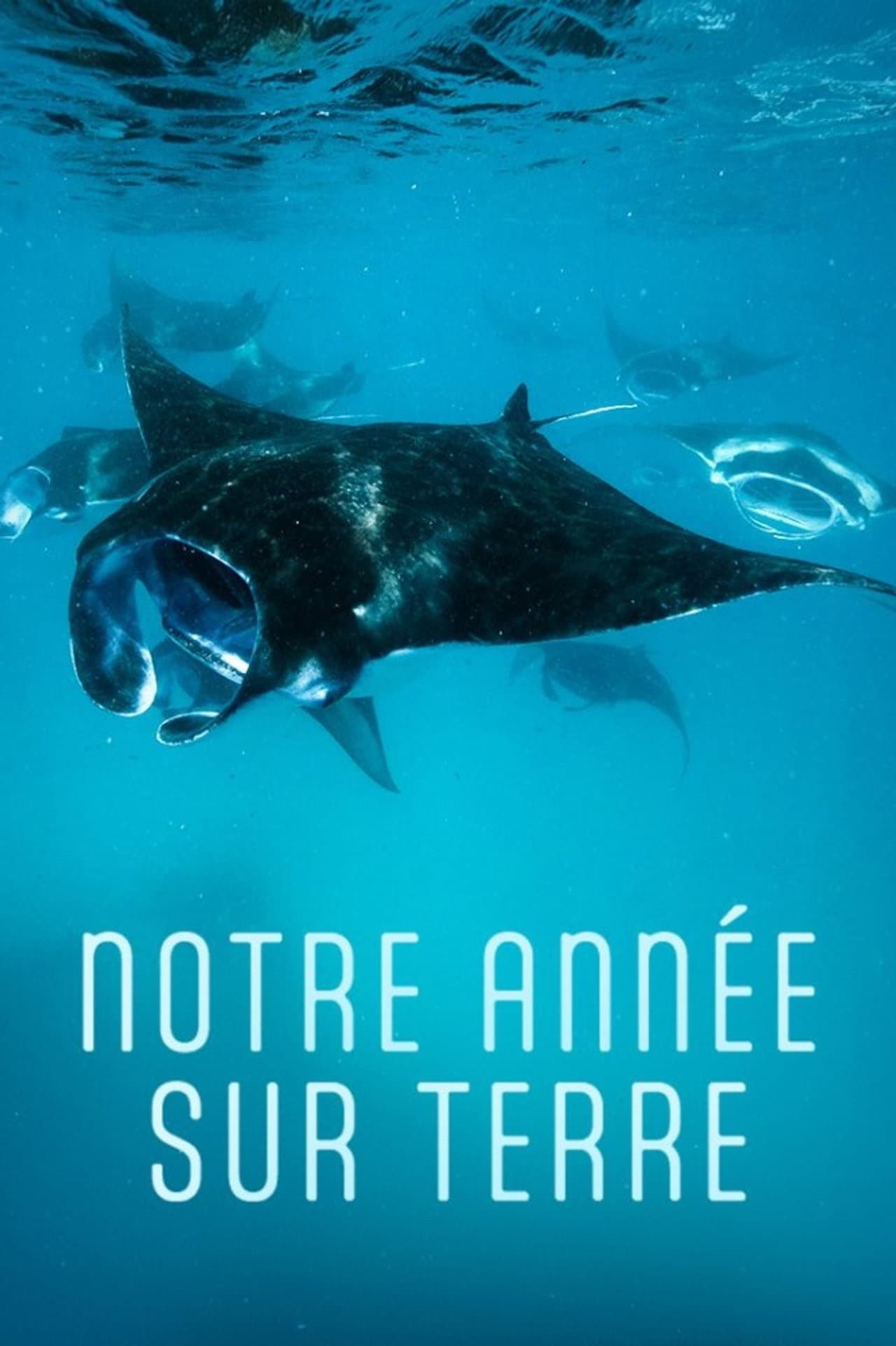 Notre année sur Terre preview 1