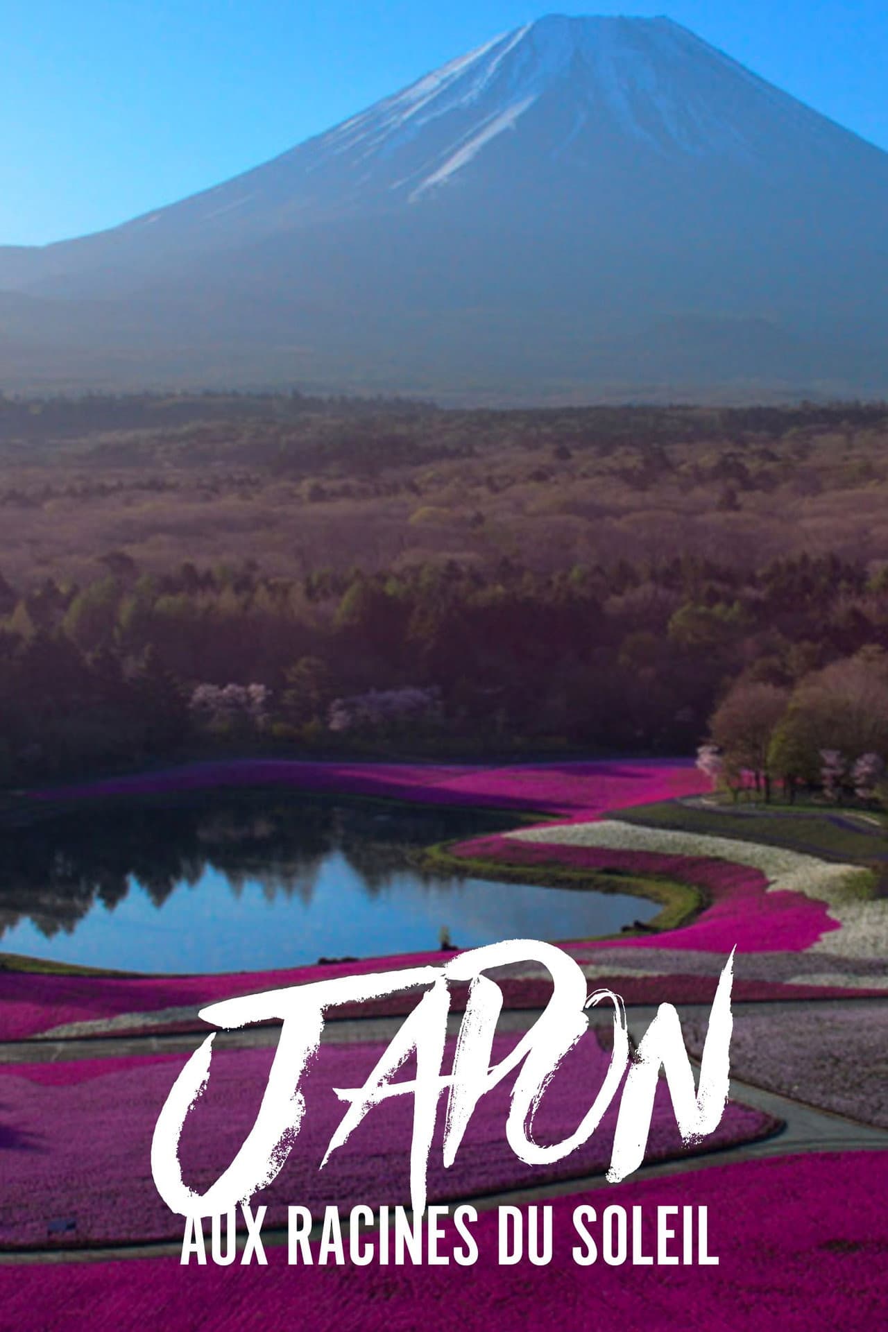 Japon, aux racines du soleil preview 2