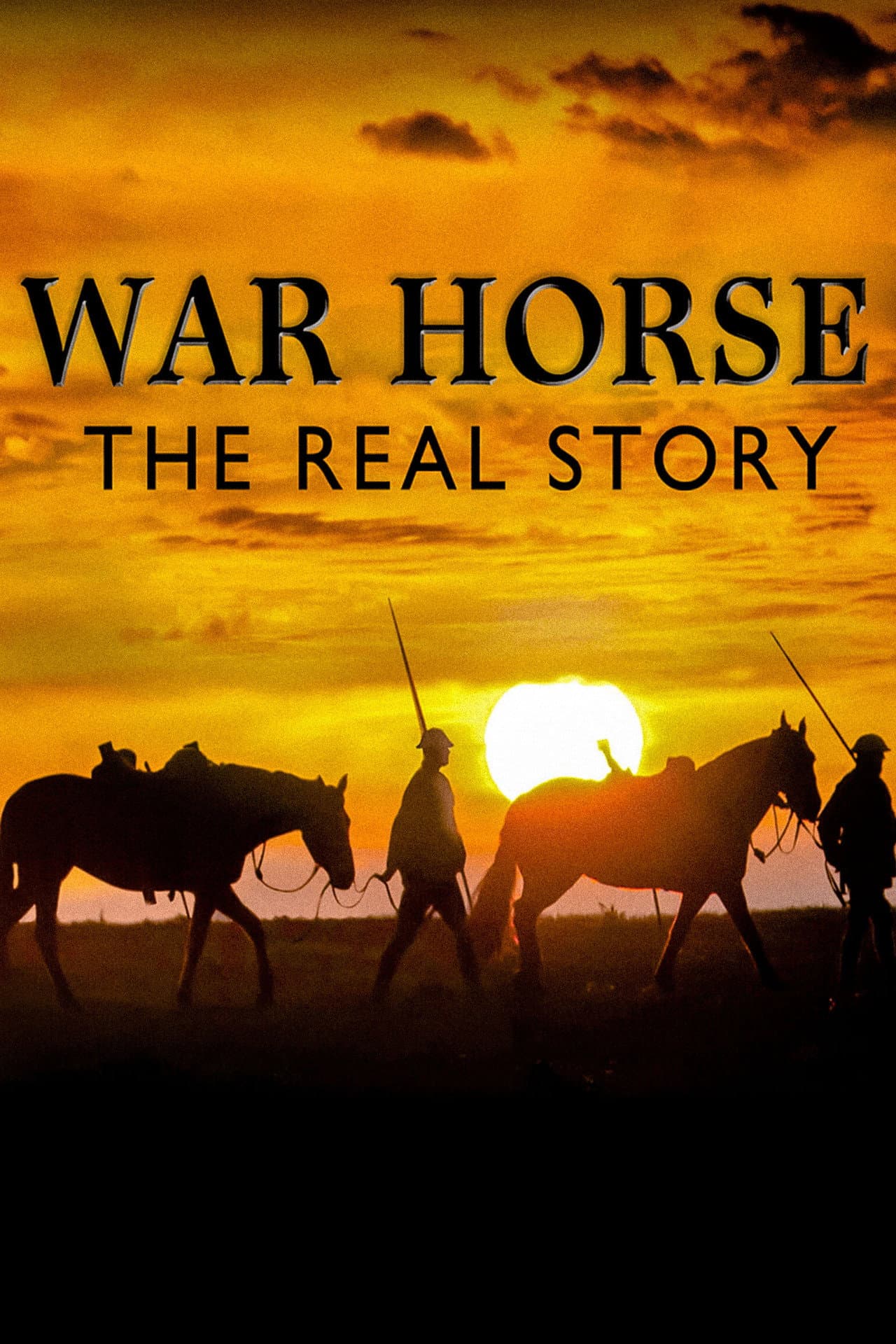 War Horse: The Real Story preview 1