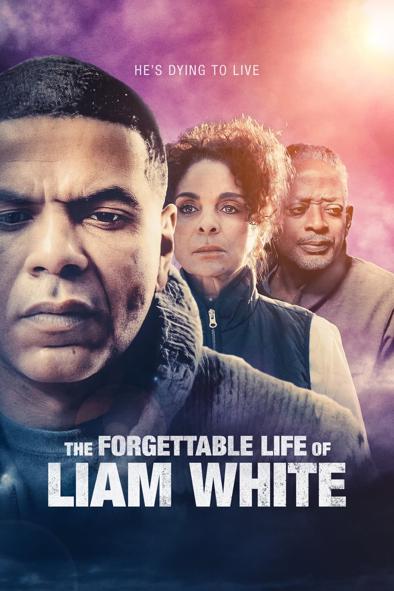 The Forgettable Life of Liam White preview 2