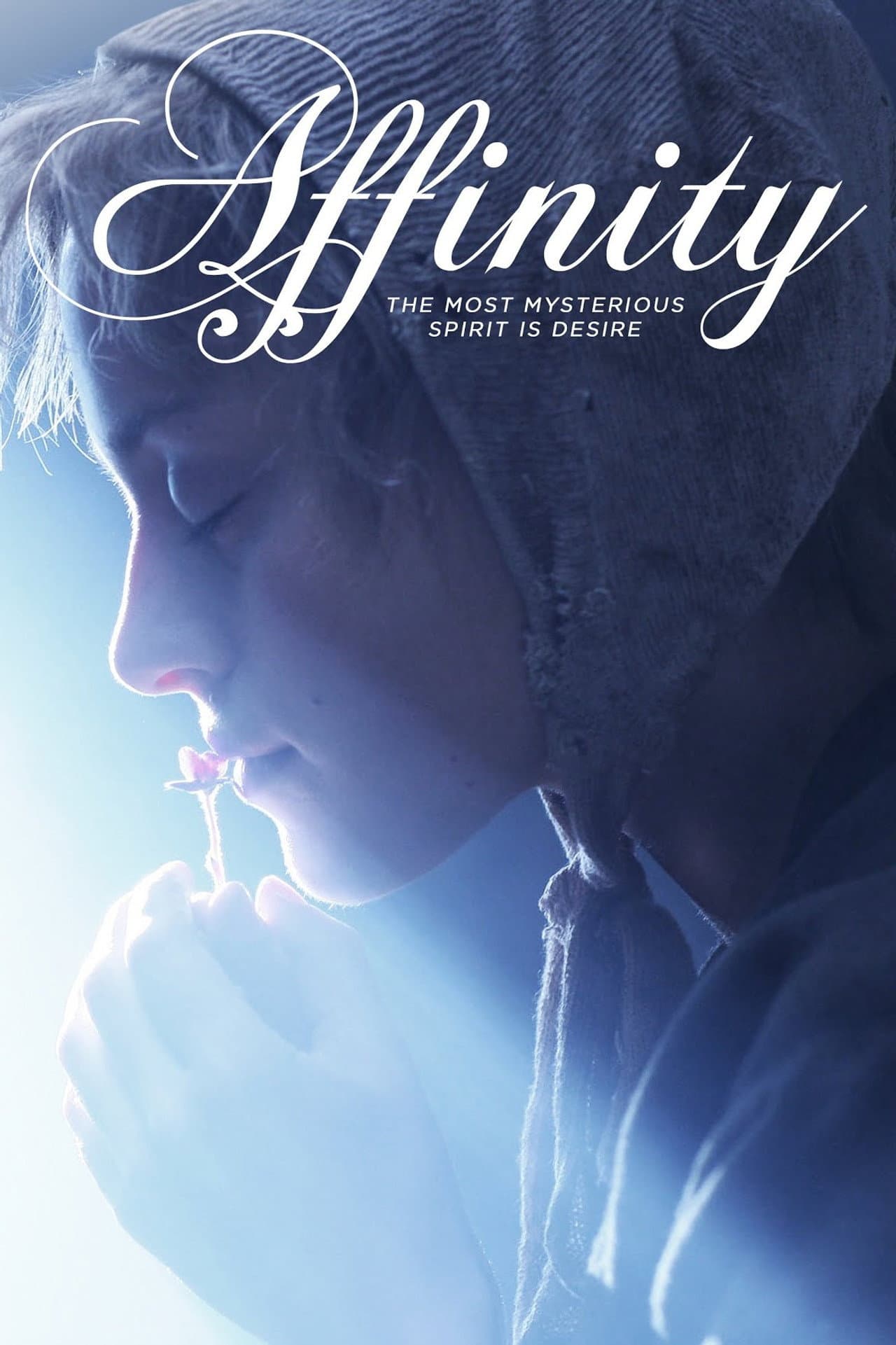 Affinity preview 2