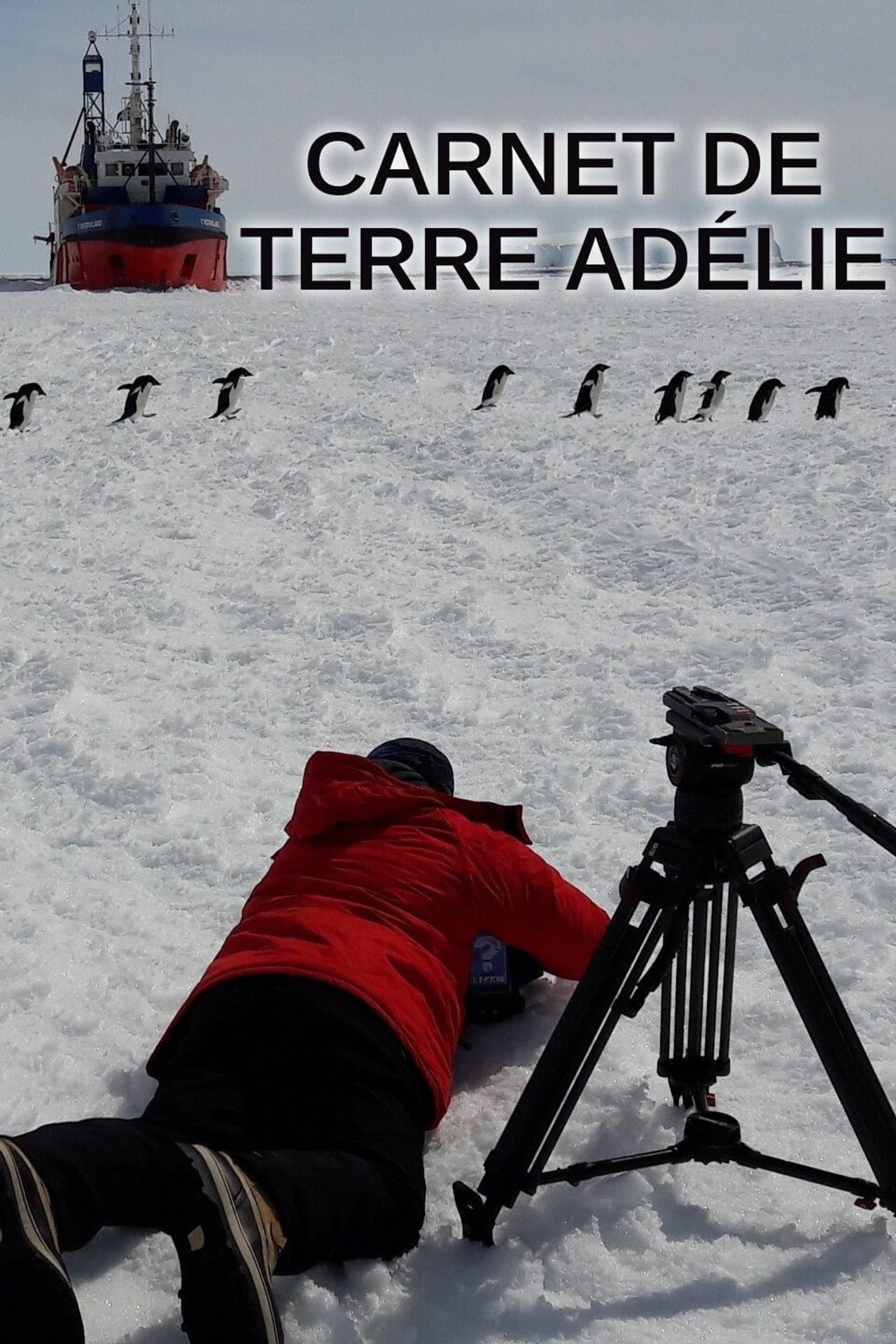 Carnet de Terre Adélie preview 2