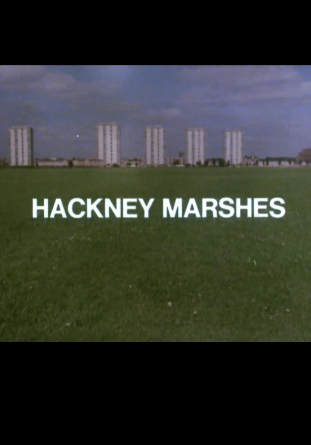 Hackney Marshes preview 1