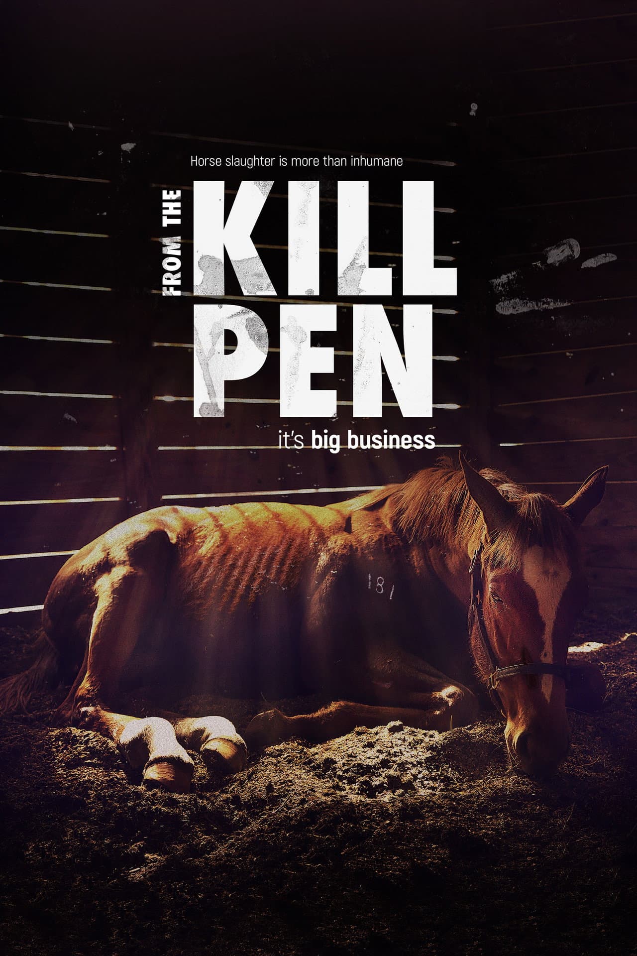 From the Kill Pen preview 2