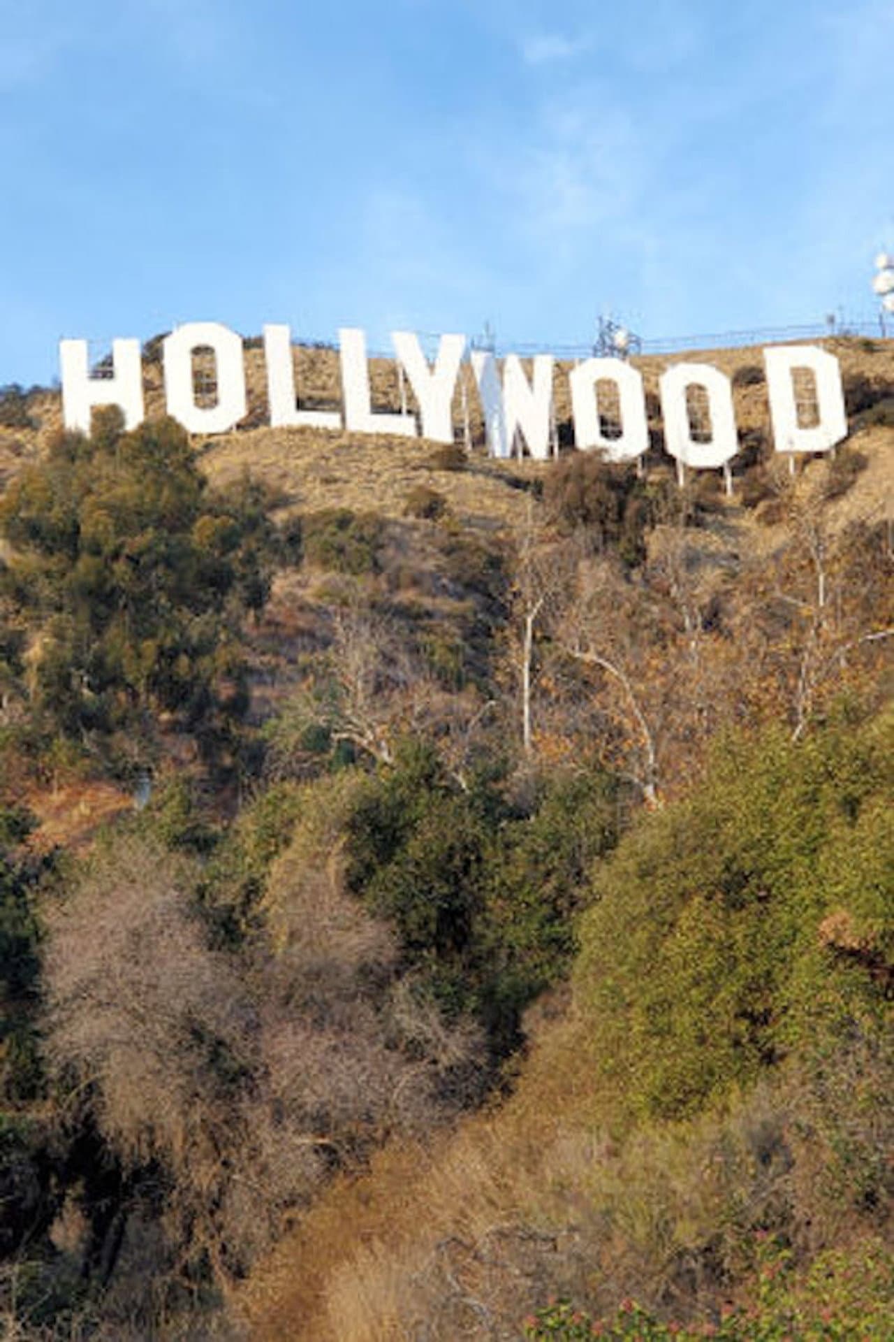 Hollywood preview 1