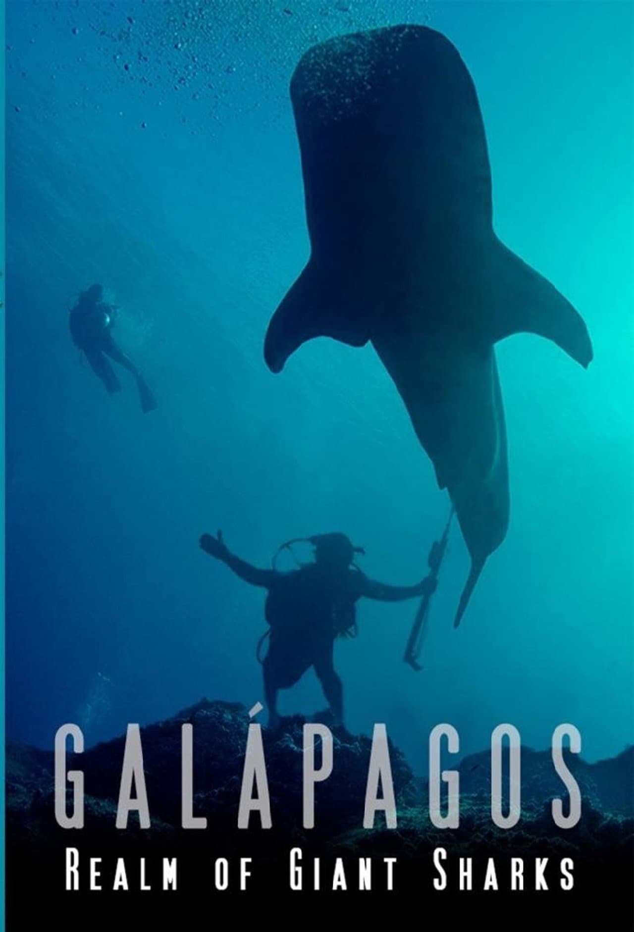 Galapagos Realm Of Giant Sharks preview 2