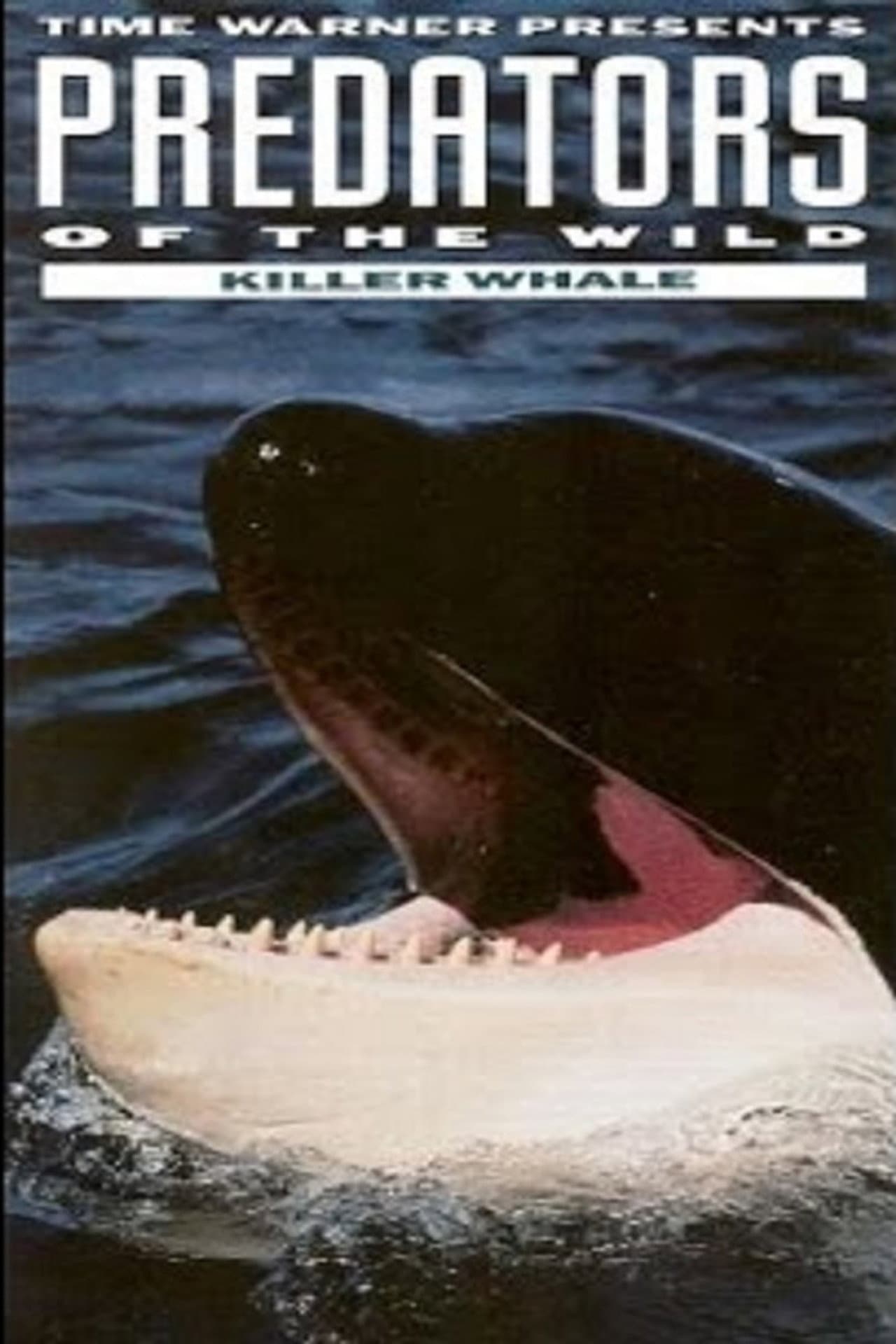 Predators of the Wild: Killer Whale preview 2