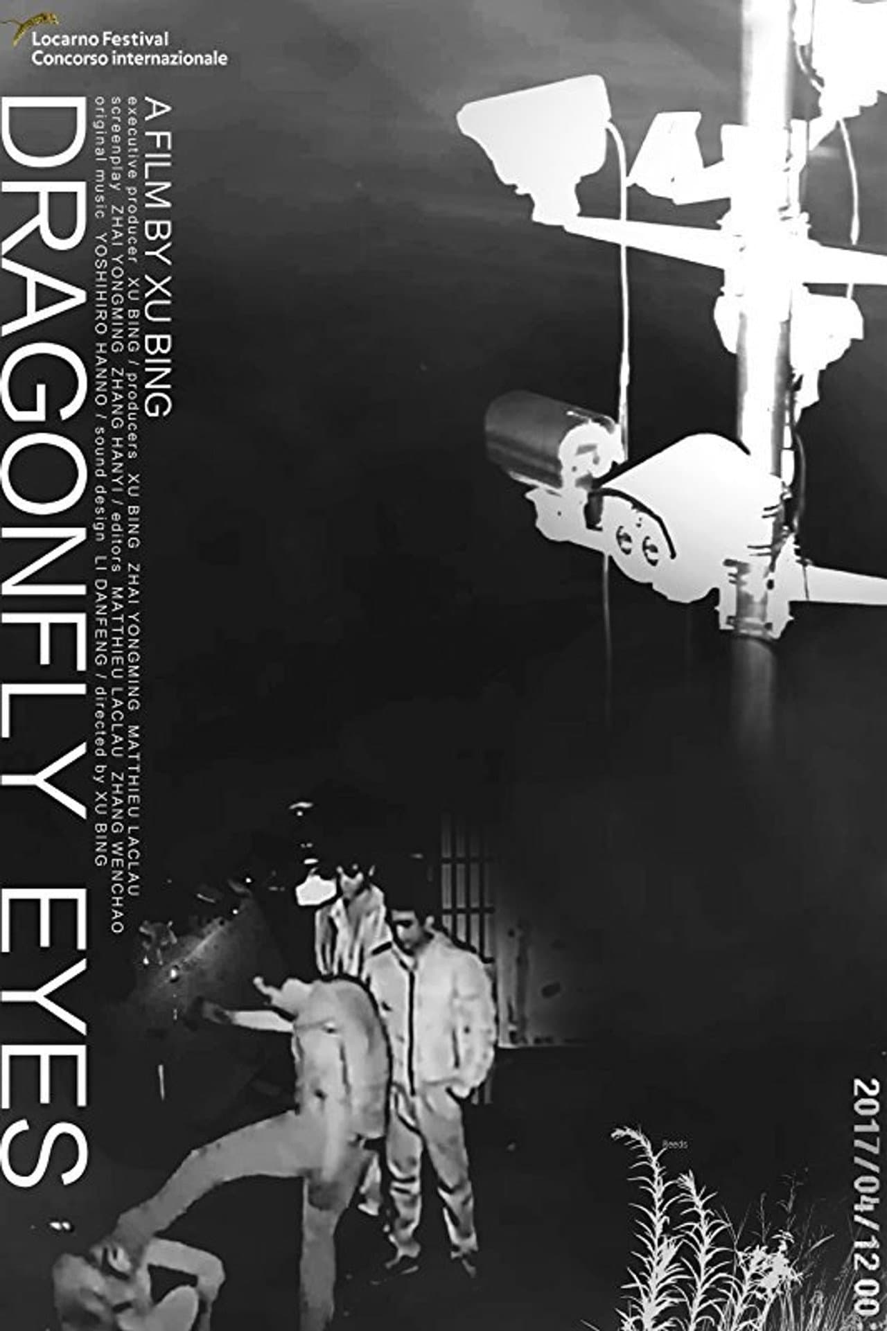 Dragonfly Eyes preview 2