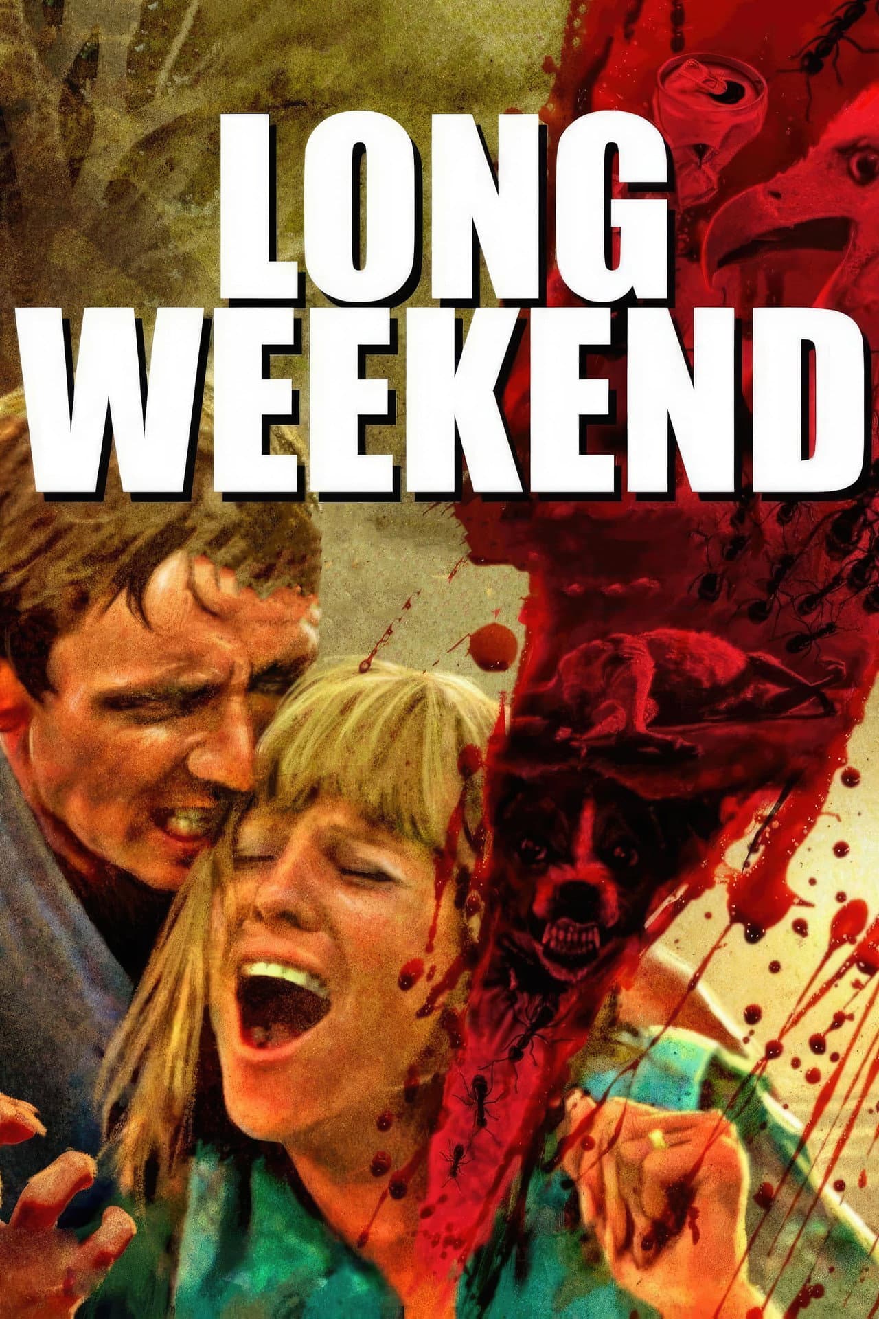 Long Weekend preview 2