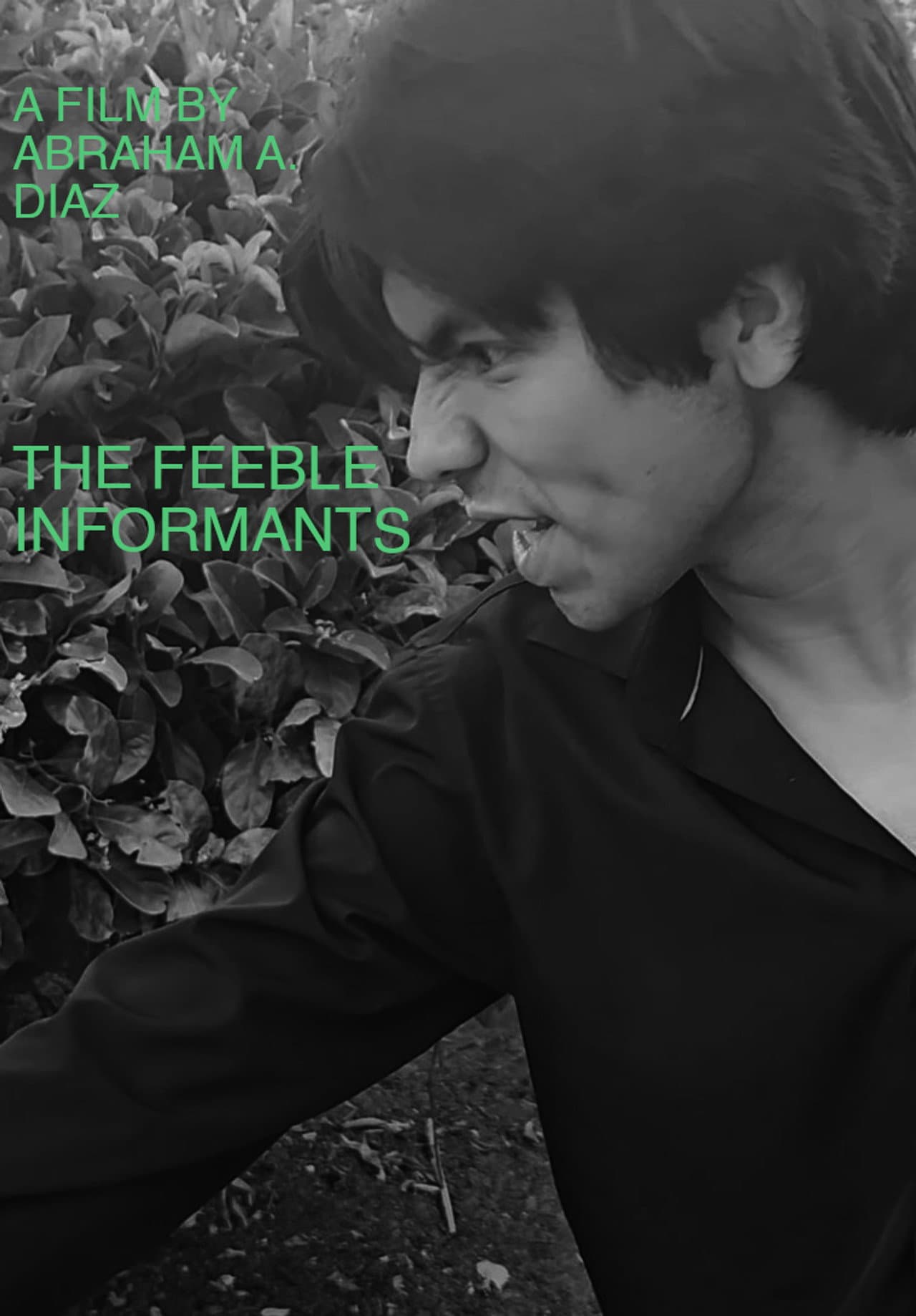 The Feeble Informants preview 2