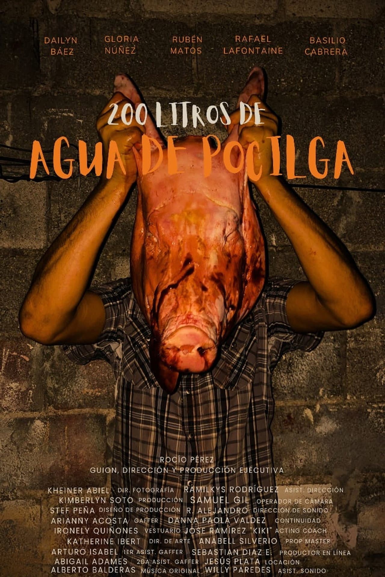 200 LITERS OF PIGSTY WATER preview 2