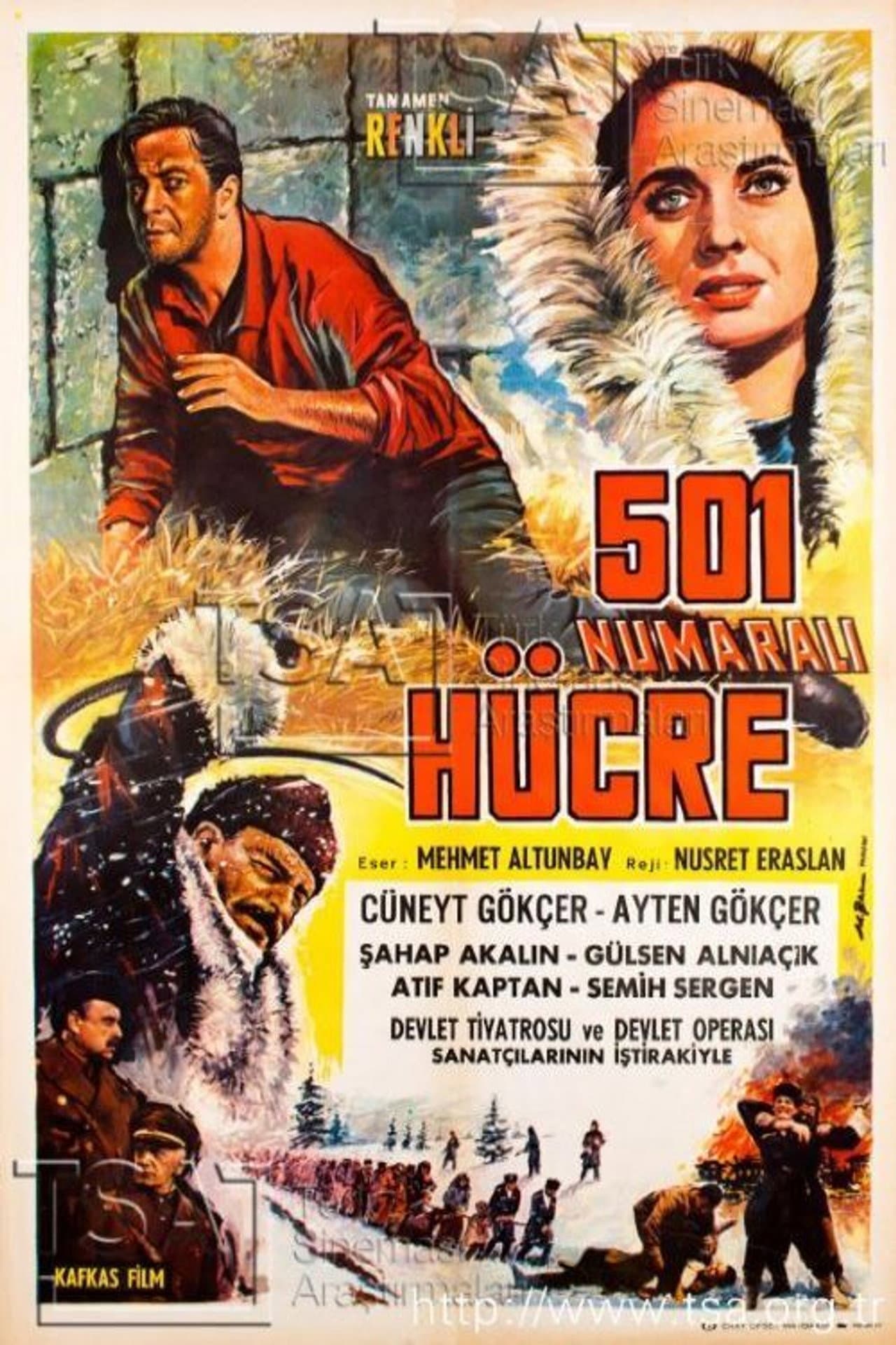 501 Numaralı Hücre preview 1
