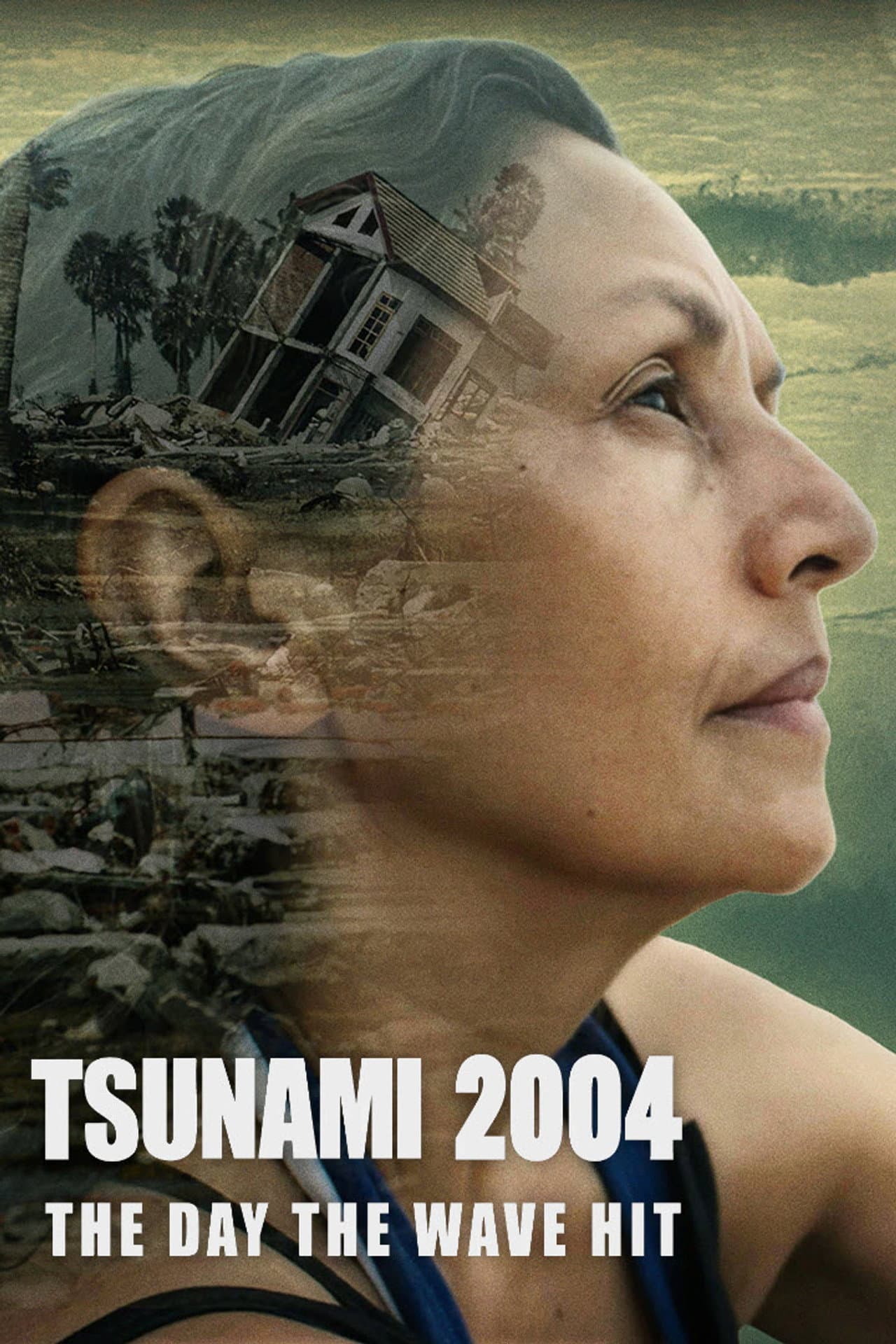 Tsunami 2004: The Day the Wave Hit preview 2