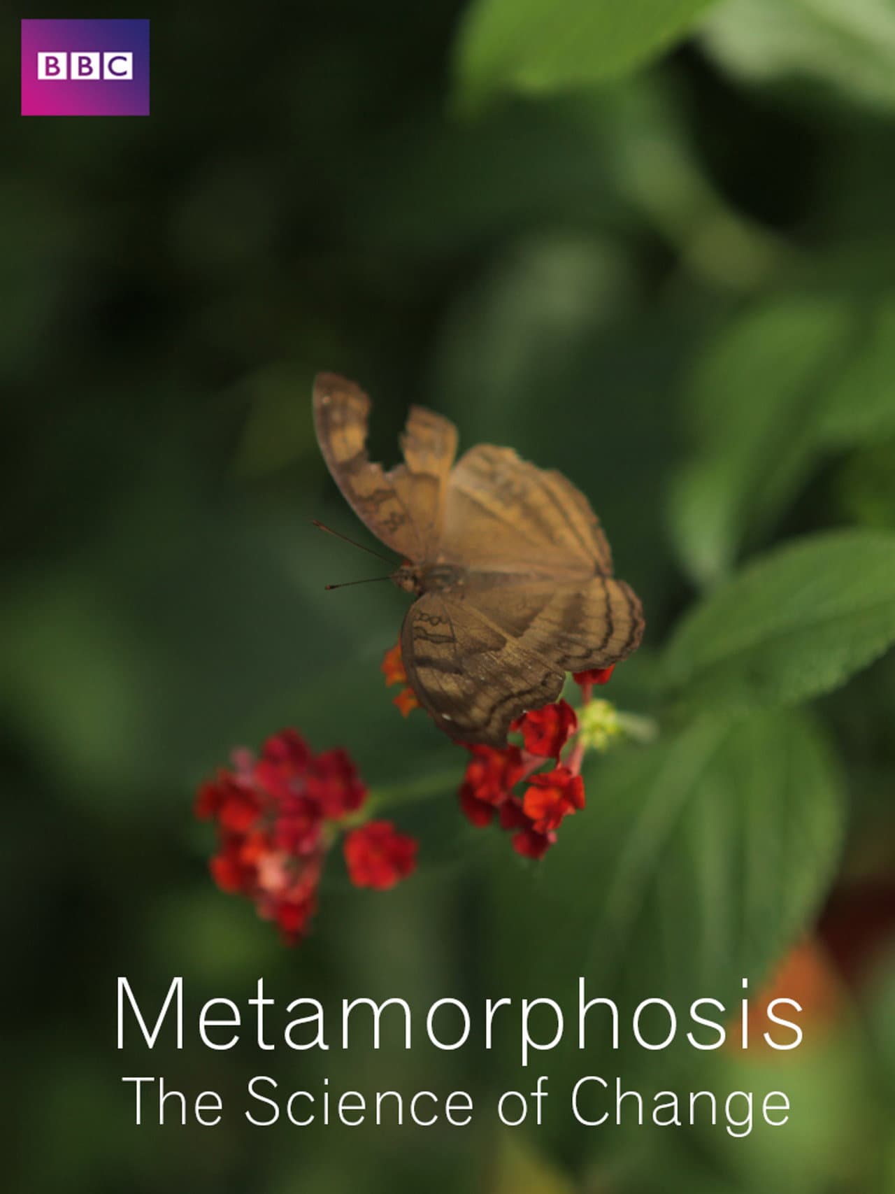 Metamorphosis: The Science of Change preview 2