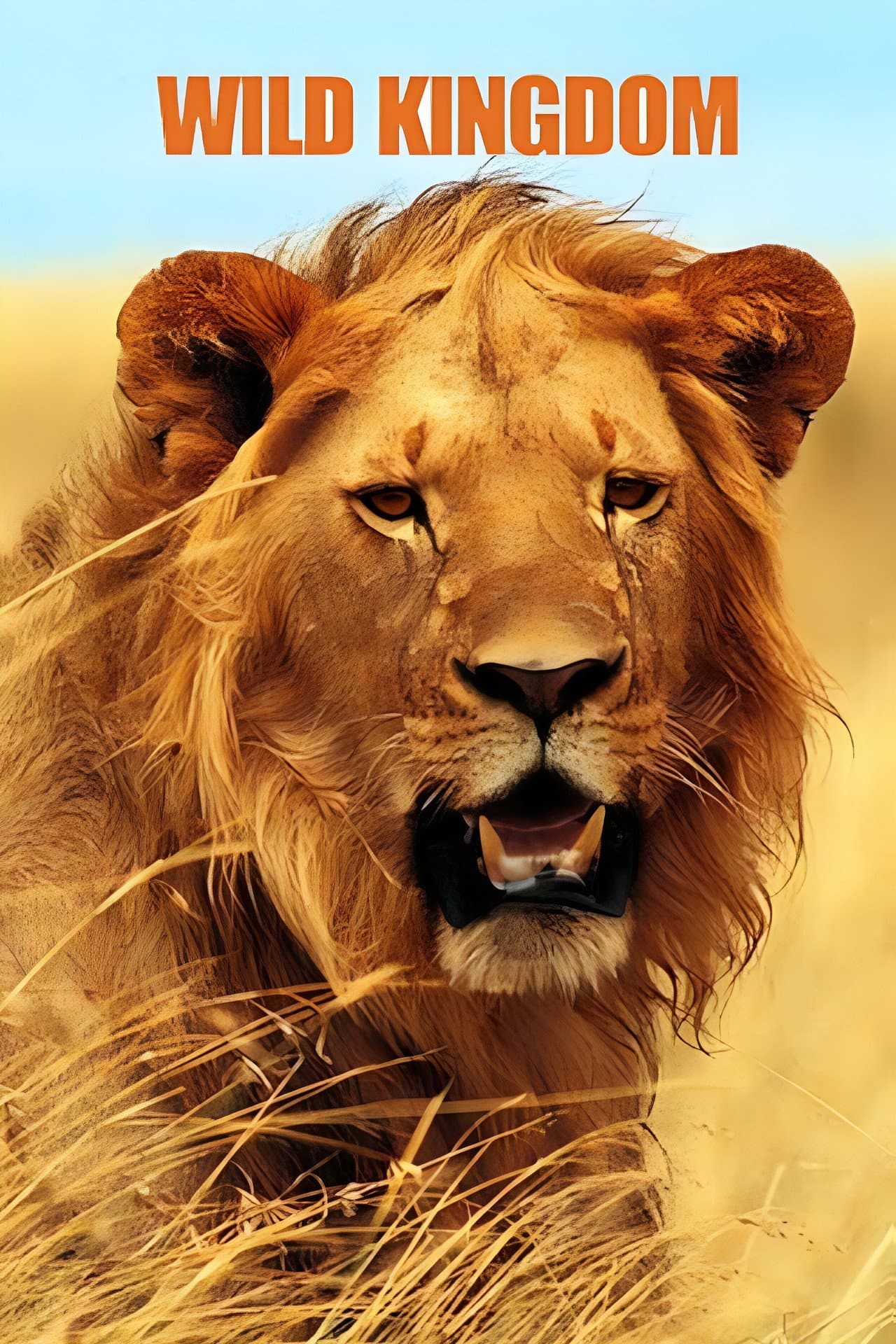 Wild Kingdom preview 2