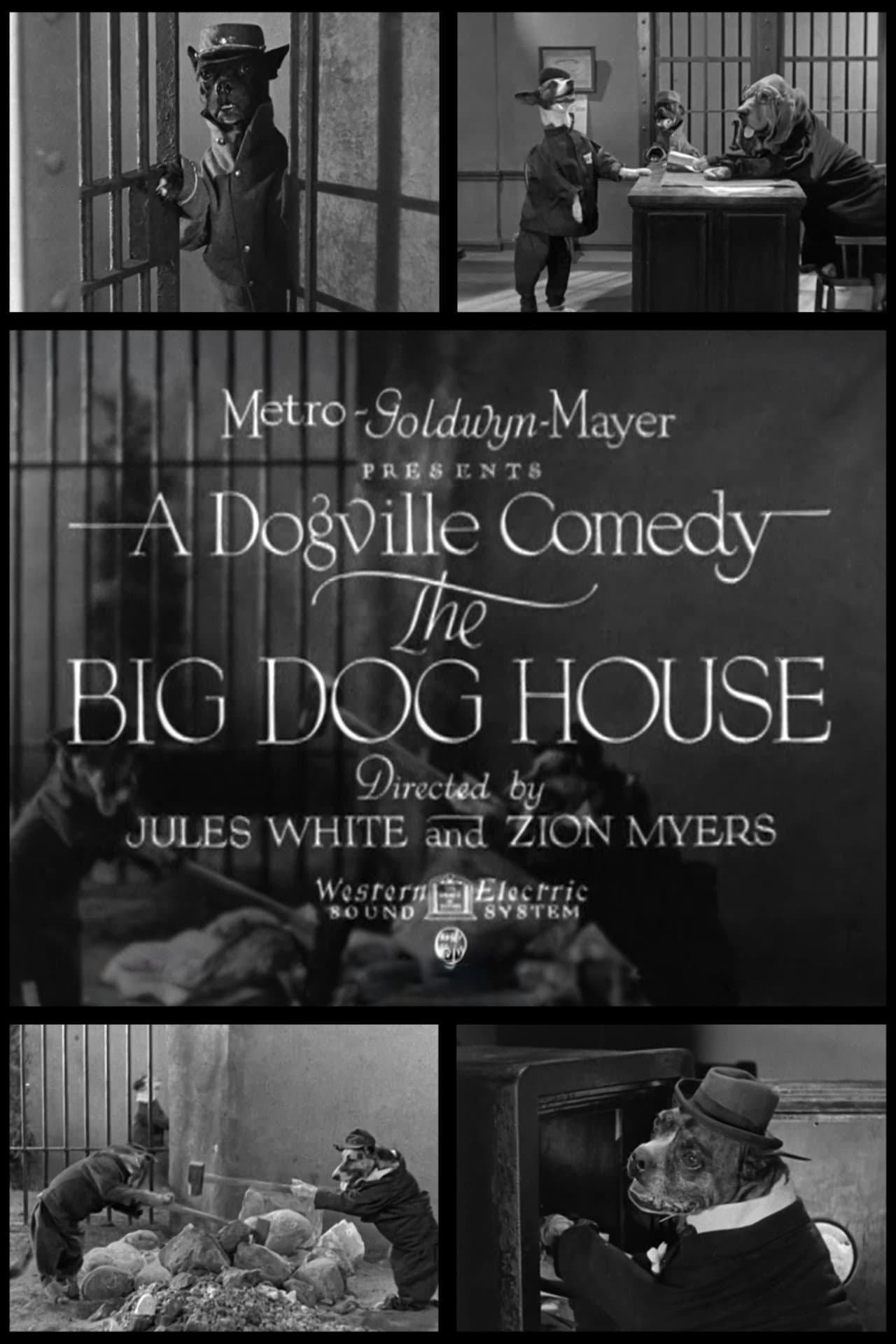 The Big Dog House preview 1