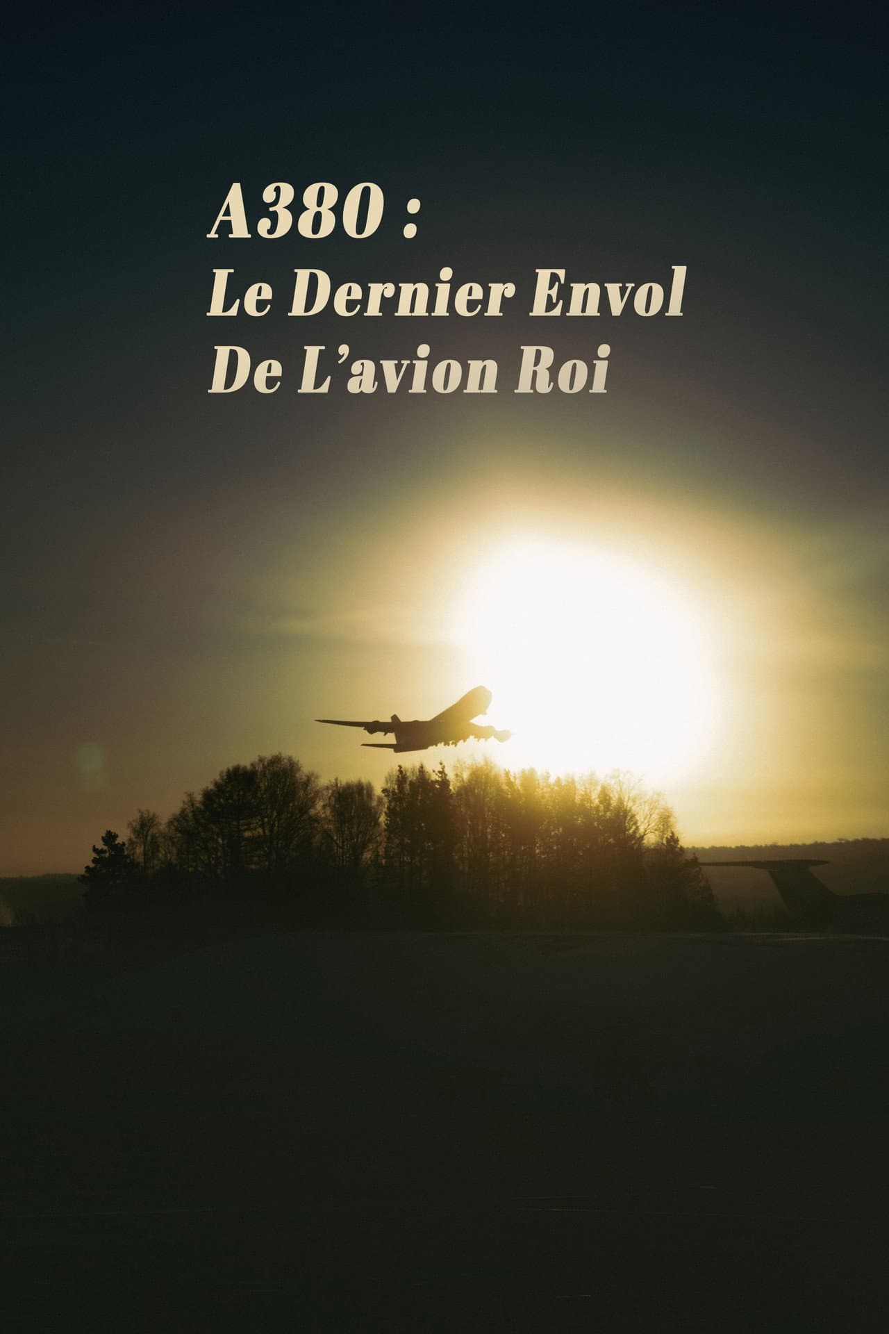 A380 : Le Dernier Envol de lavion roi preview 2