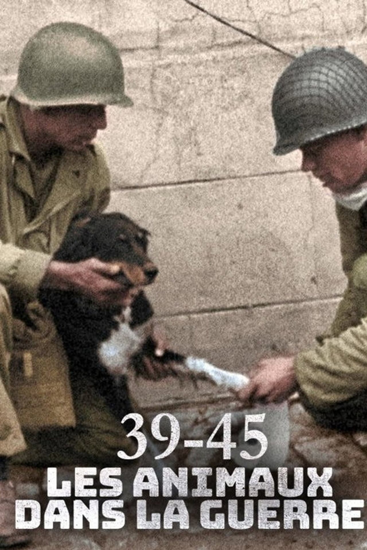 Animals at War, Wild Heroes of World War II preview 1