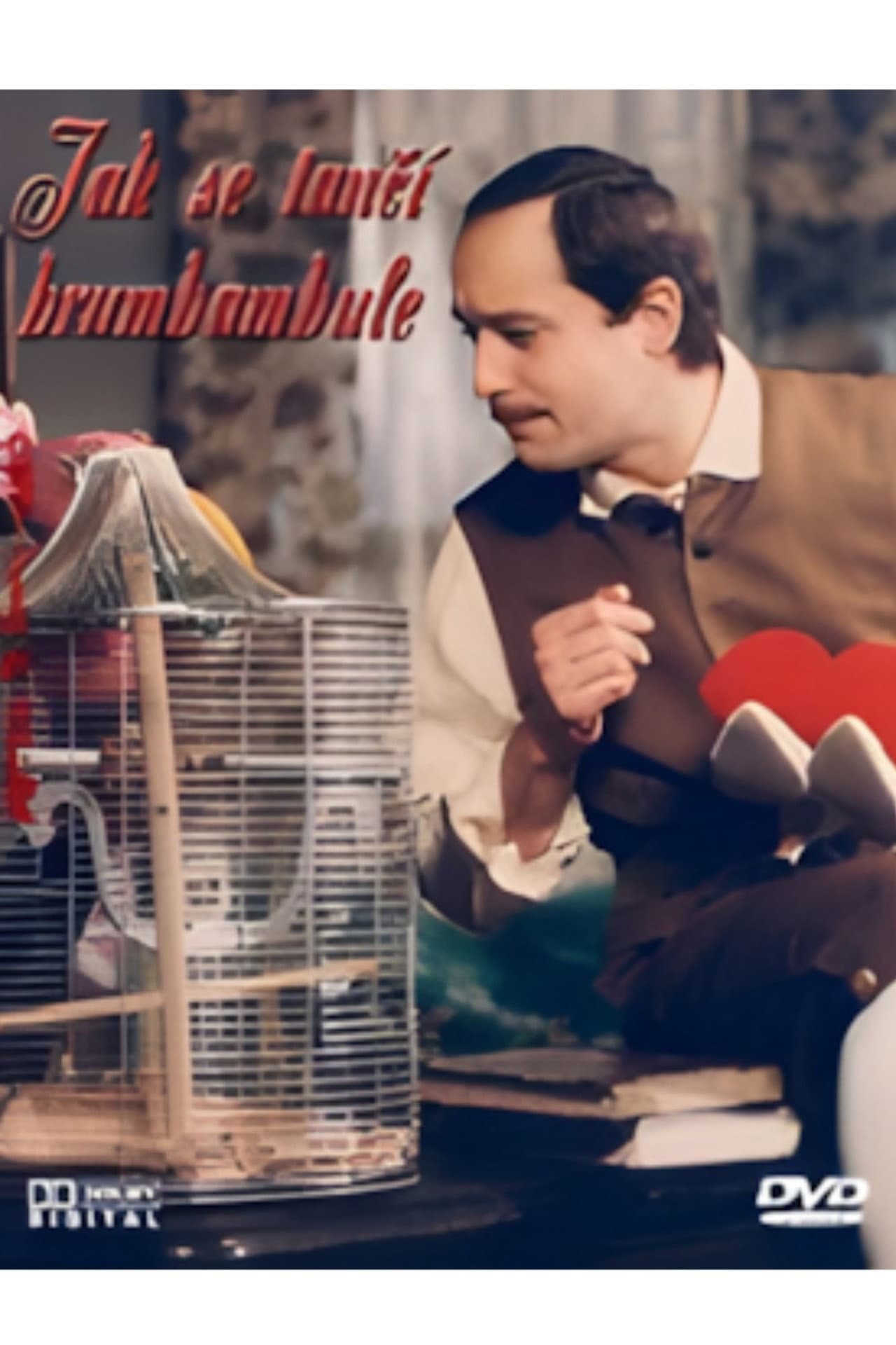 Jak se tančí brumbambule preview 2